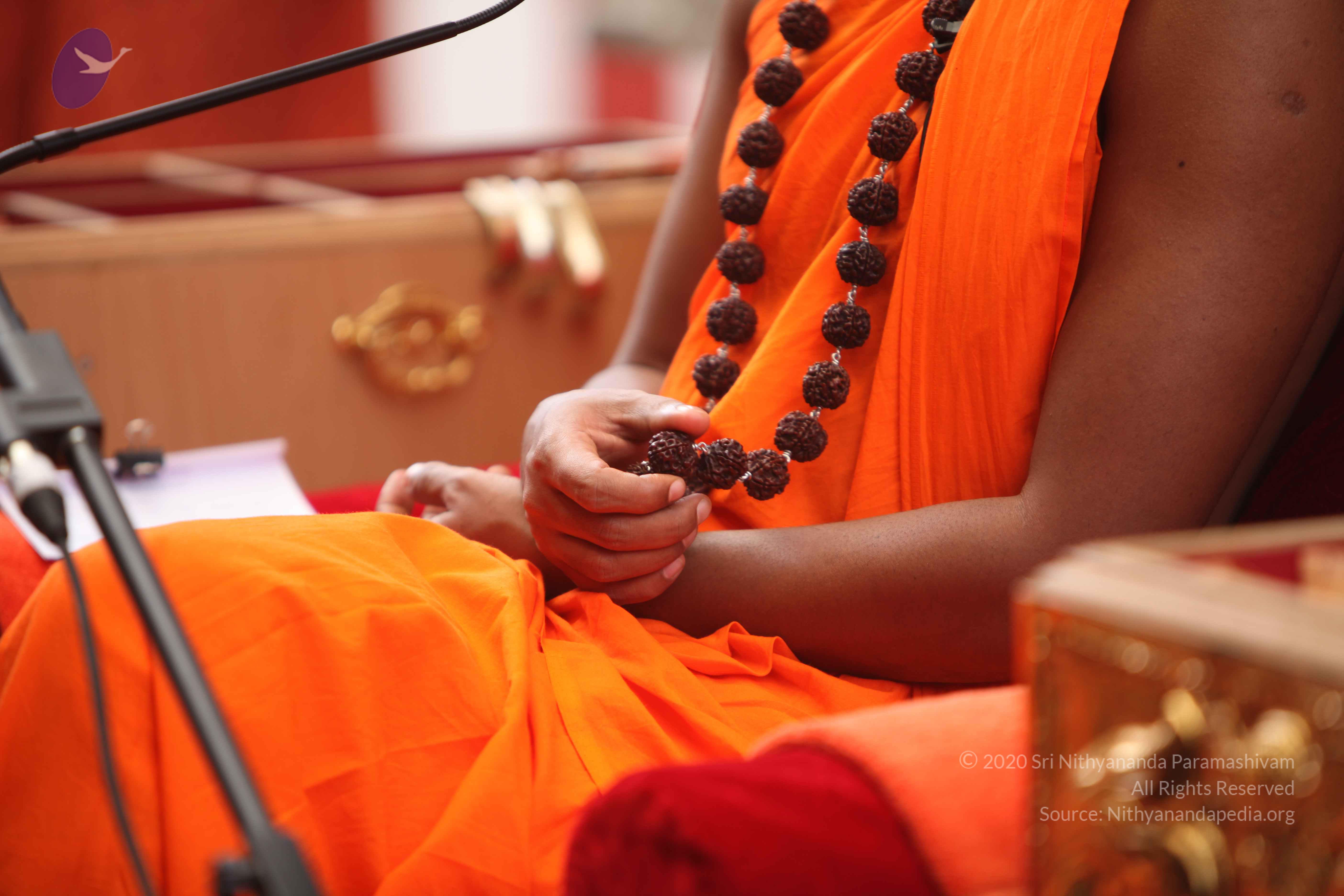 20101030_Photo_1147_IMG_7863_CMP_WM