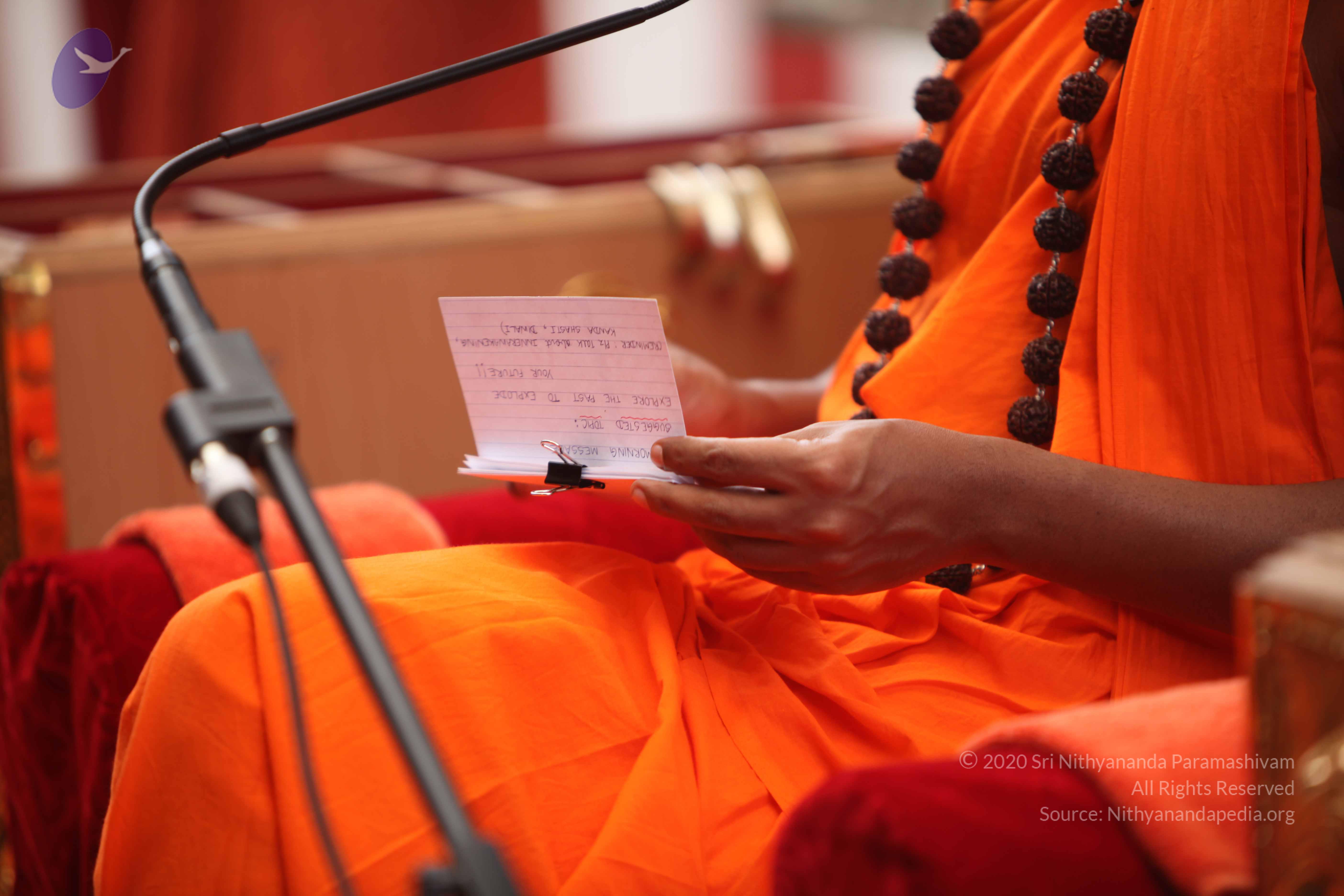 20101030_Photo_1149_IMG_7854_CMP_WM