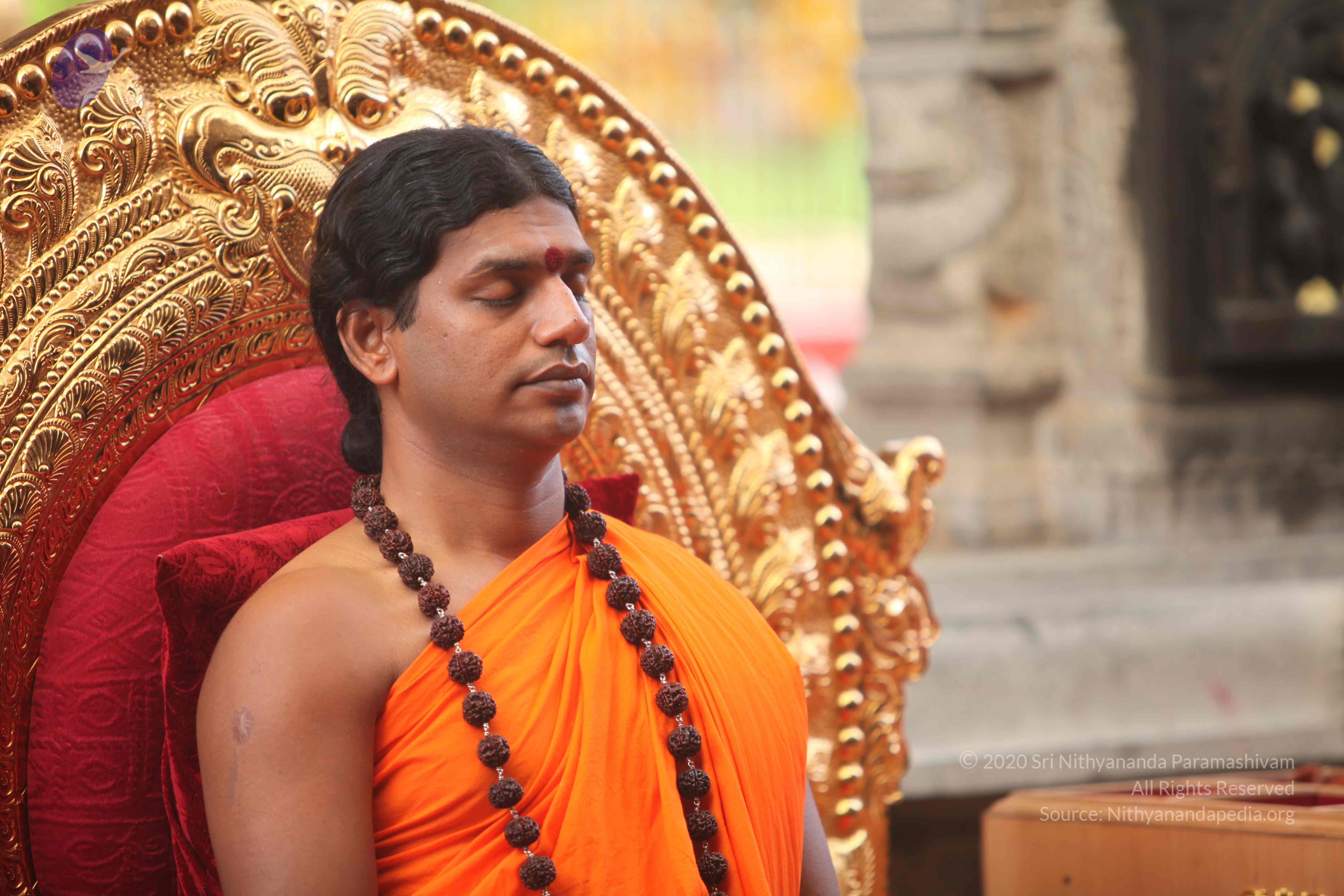 20101030_Photo_1150_IMG_7784_CMP_WM