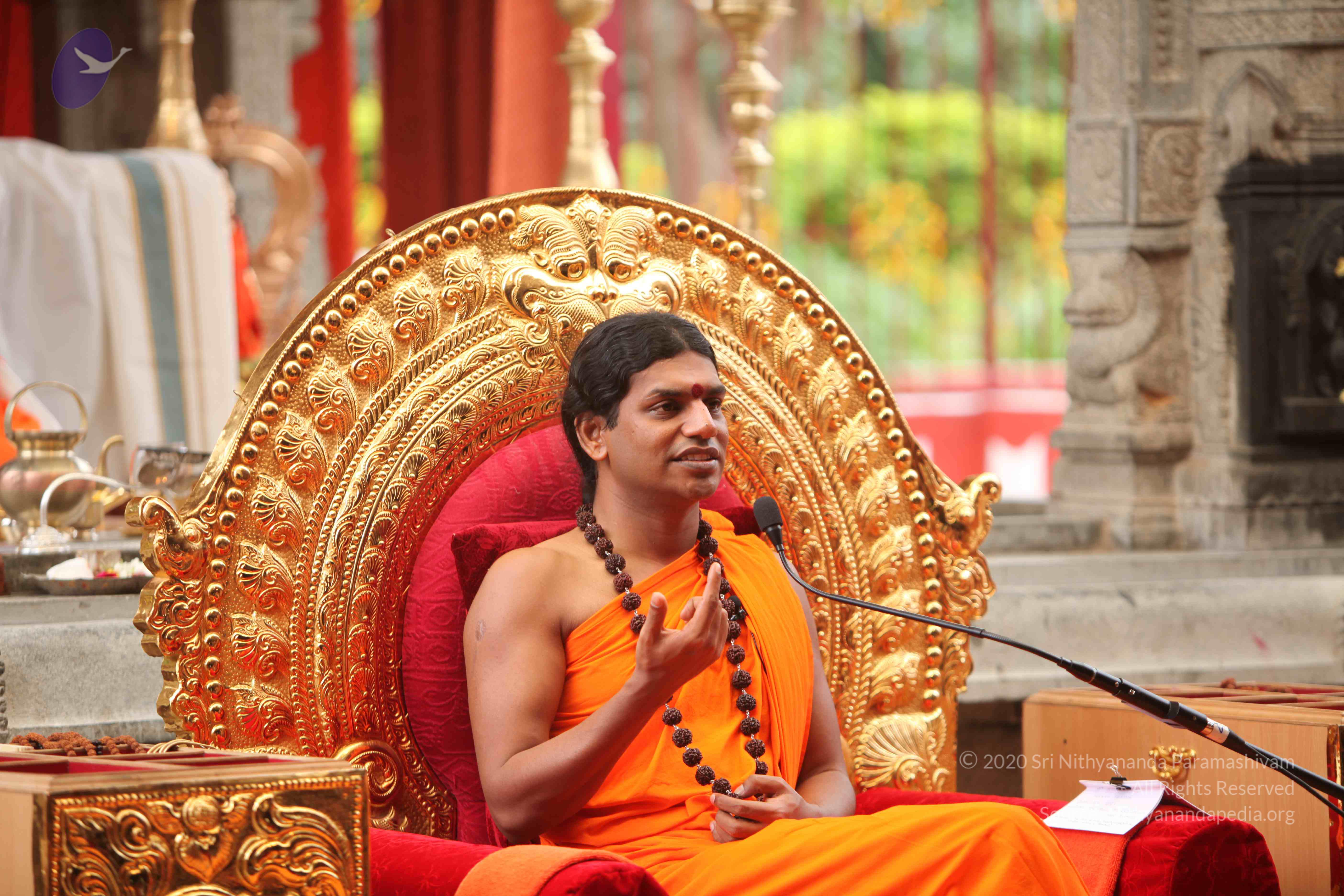 20101030_Photo_1152_IMG_7940_CMP_WM