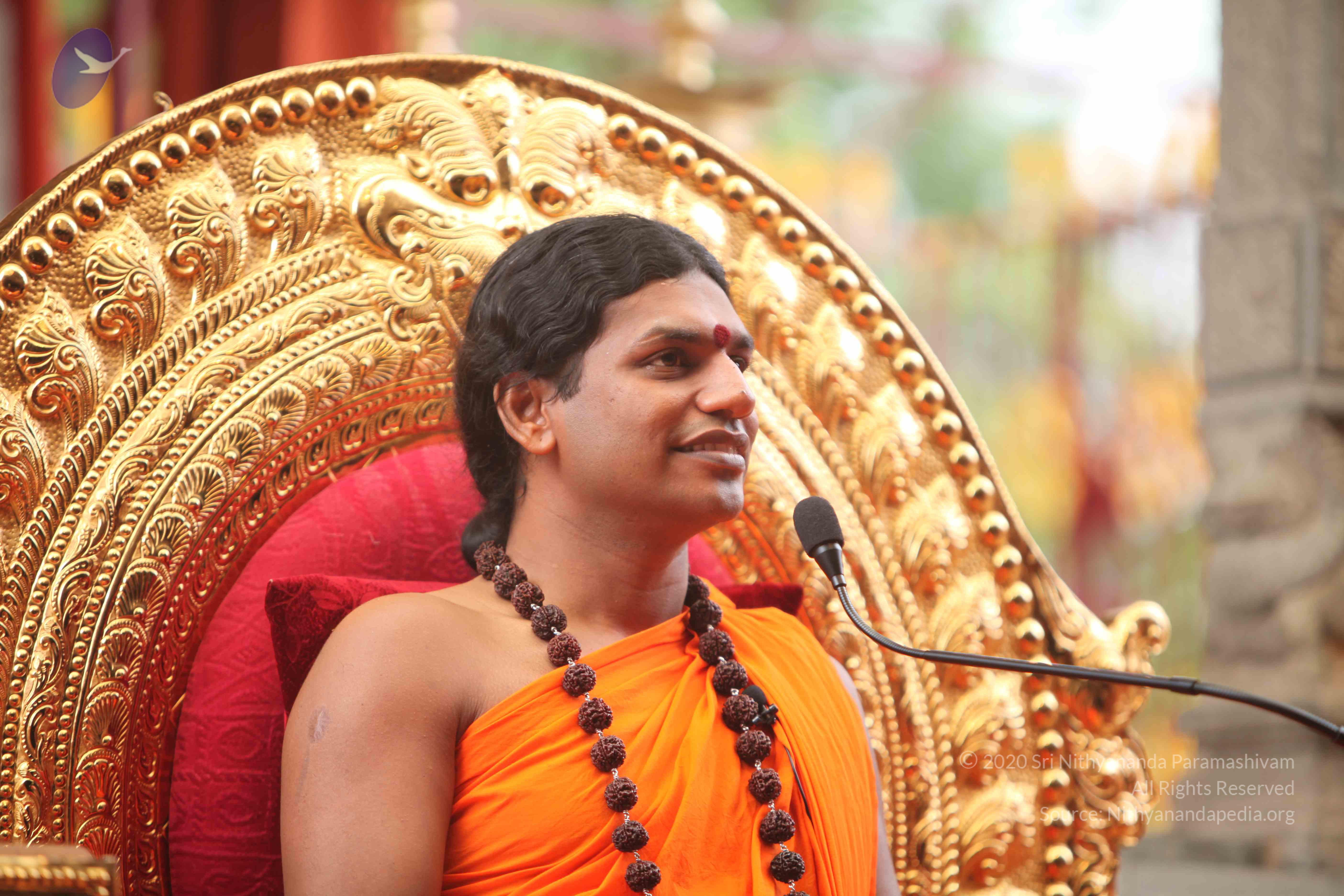 20101030_Photo_1154_IMG_7909_CMP_WM