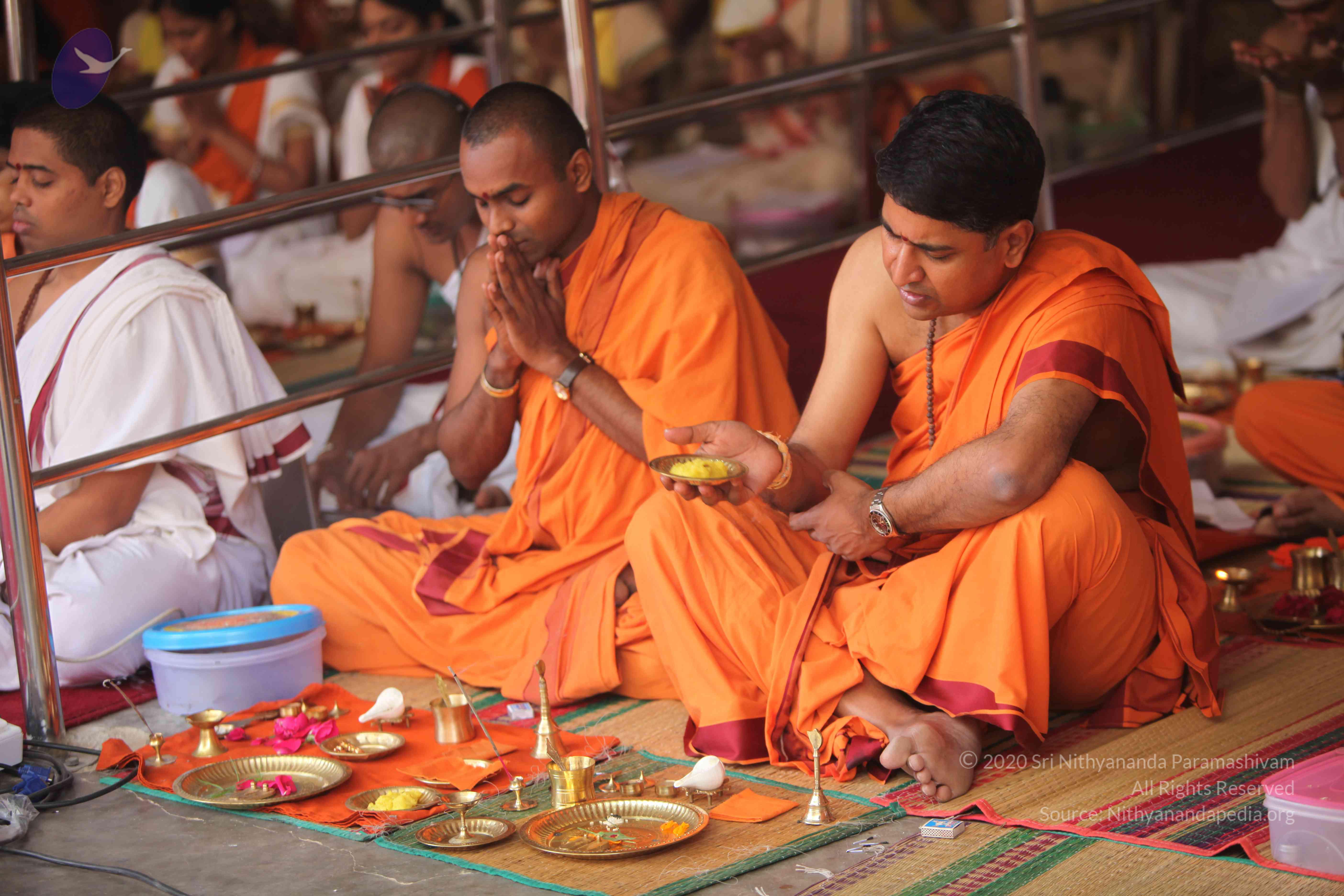 20101030_Photo_1155_IMG_7798_CMP_WM