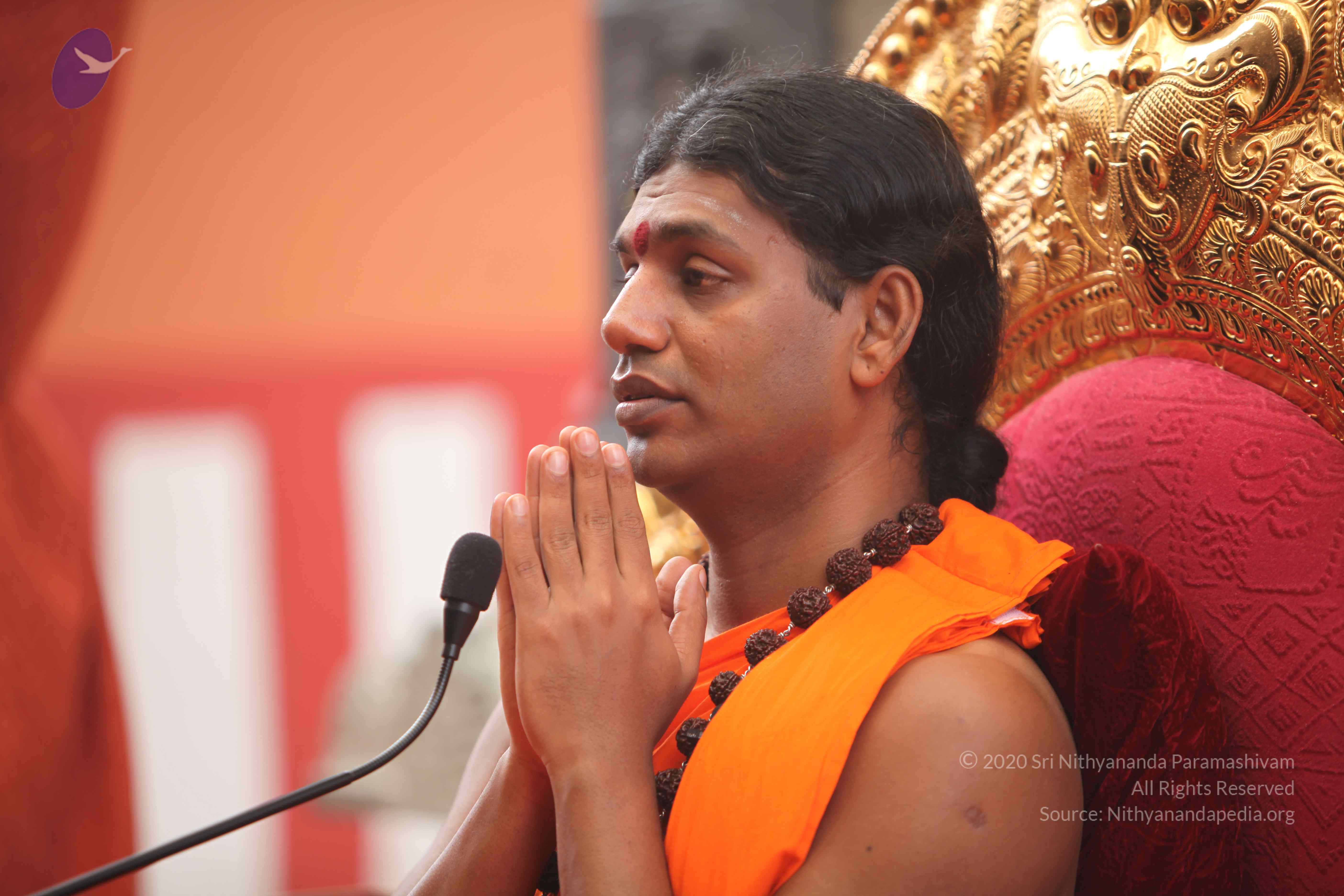 20101030_Photo_1156_IMG_7848_CMP_WM