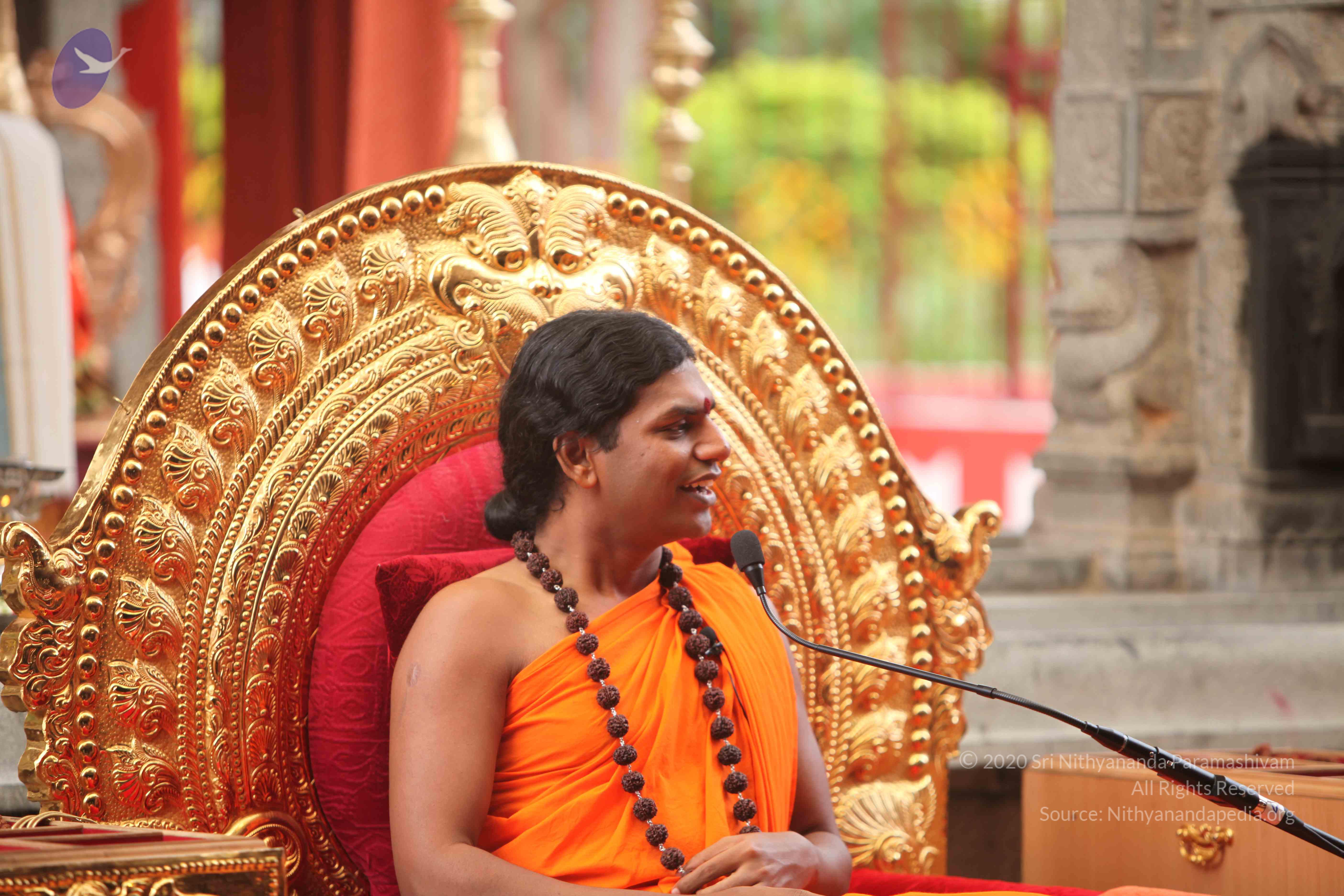 20101030_Photo_1157_IMG_7880_CMP_WM