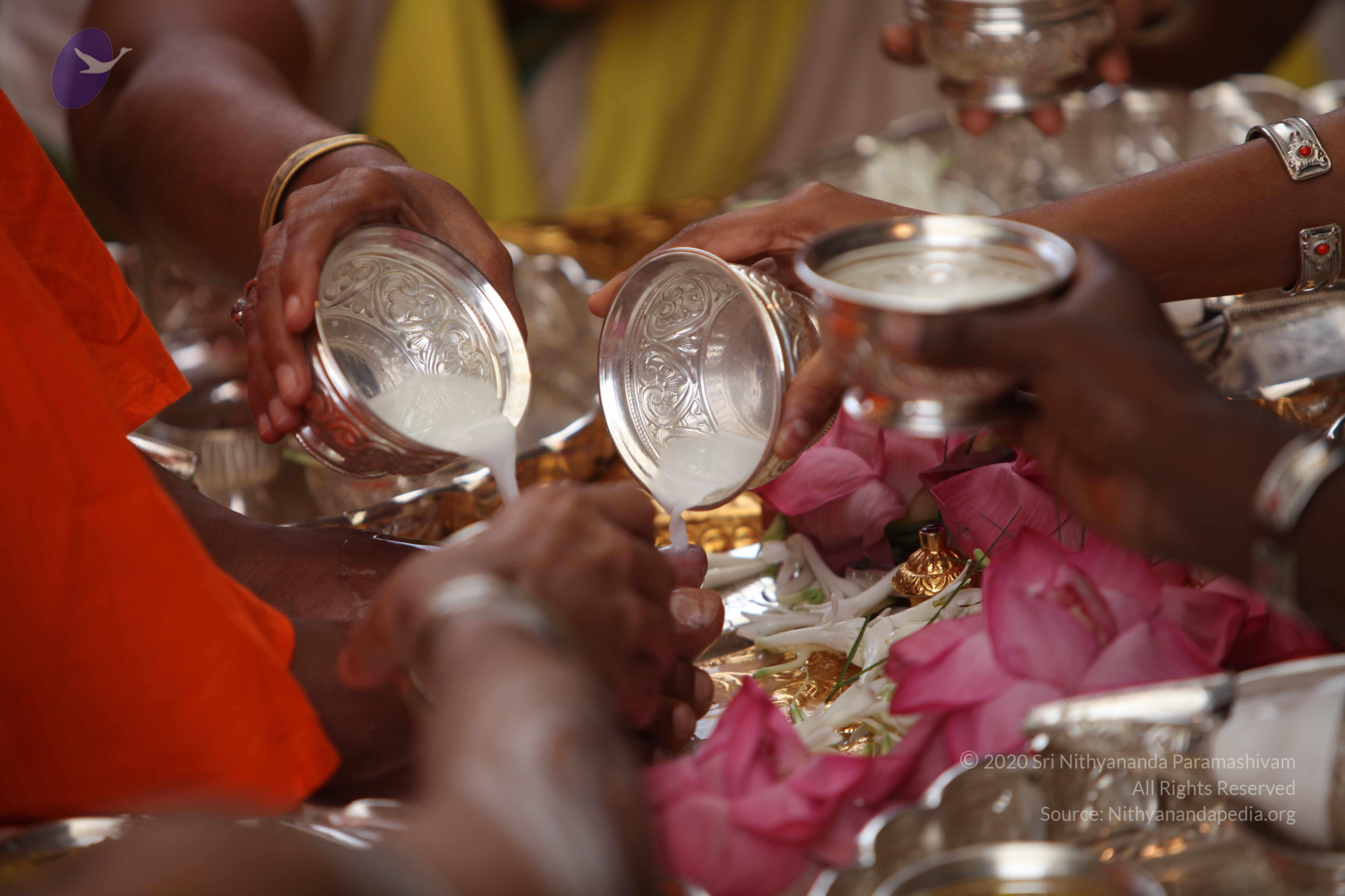 20101030_Photo_1158_IMG_7767_CMP_WM