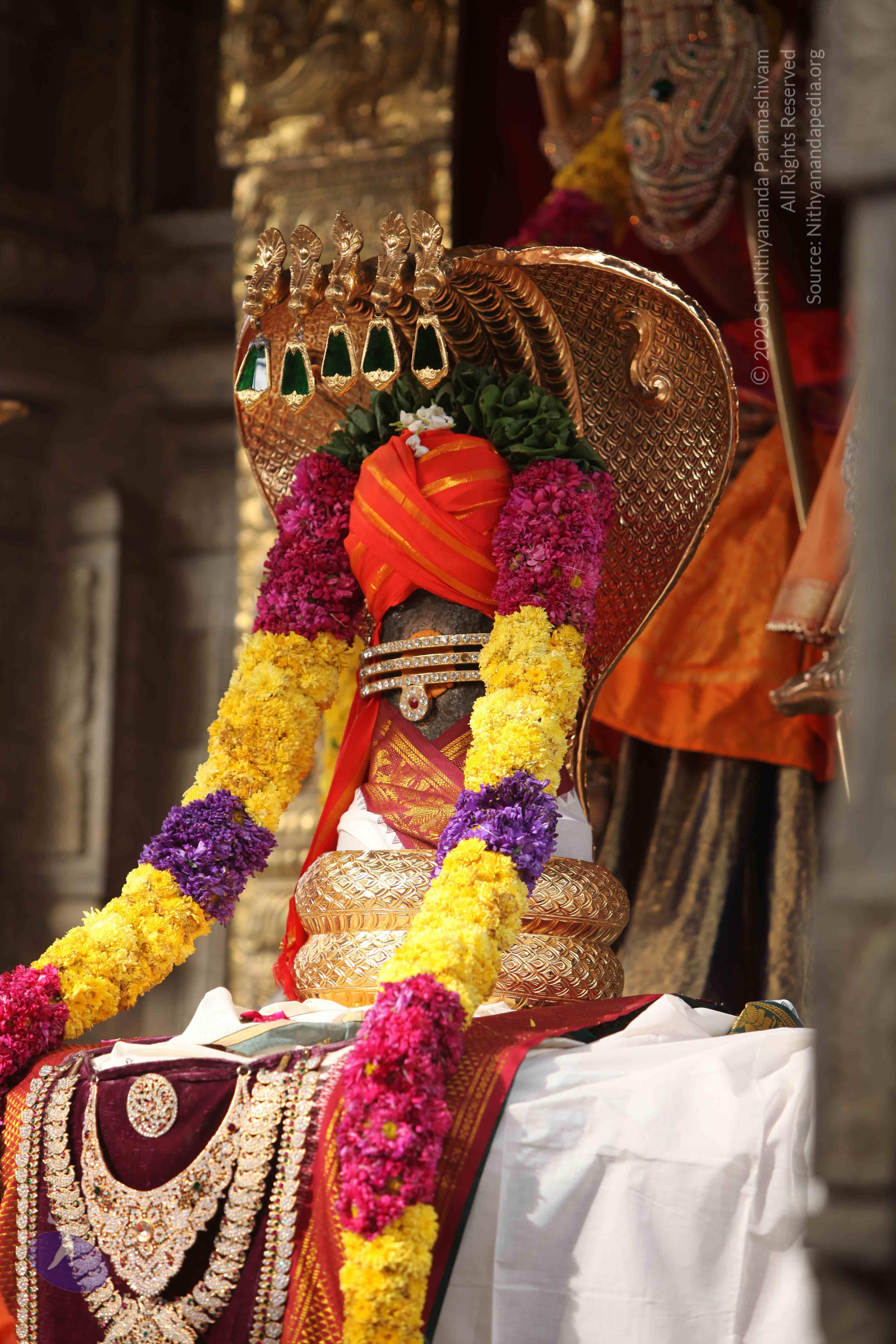 20101030_Photo_1159_IMG_7750_CMP_WM