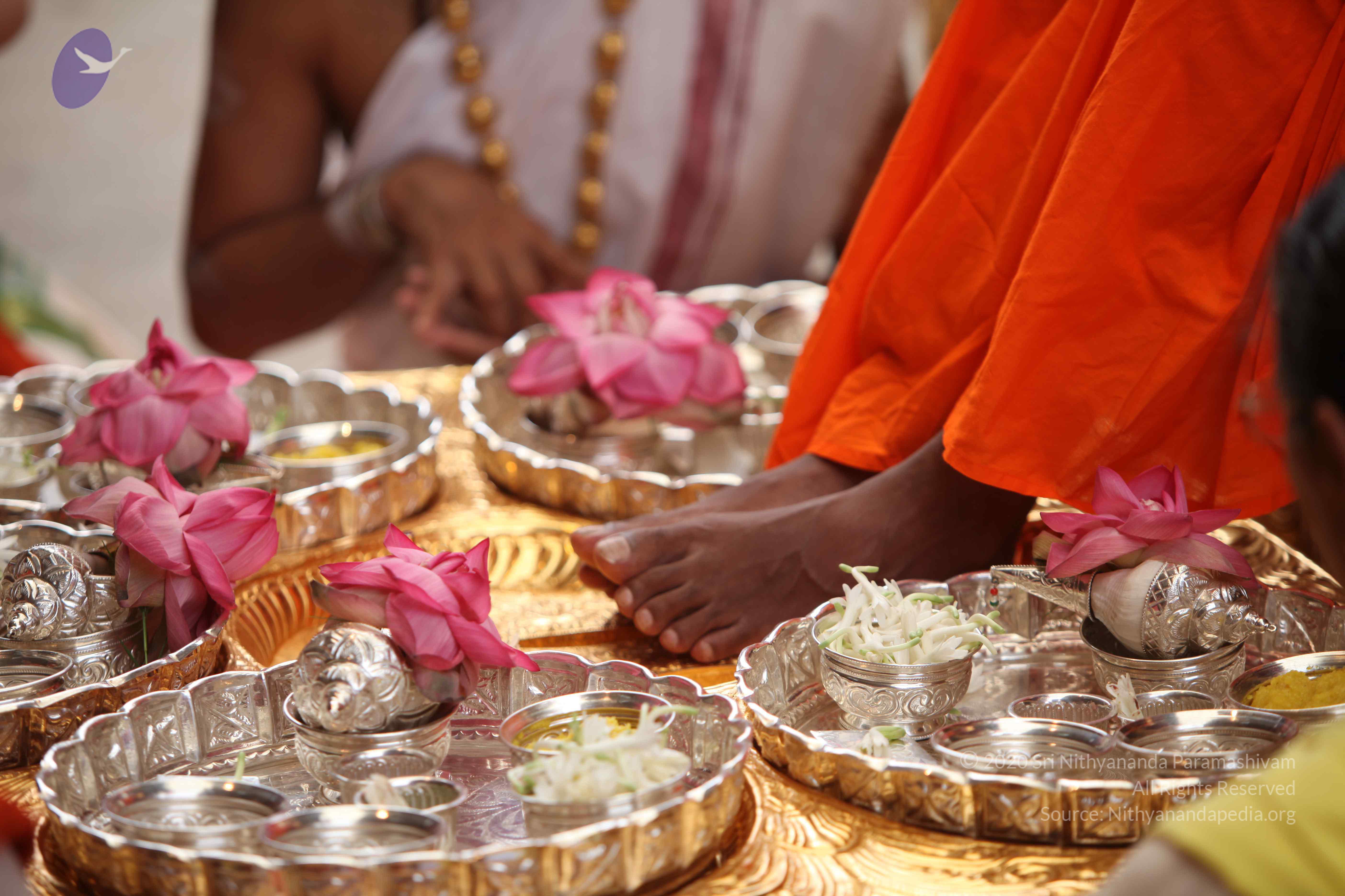 20101030_Photo_1160_IMG_7705_CMP_WM