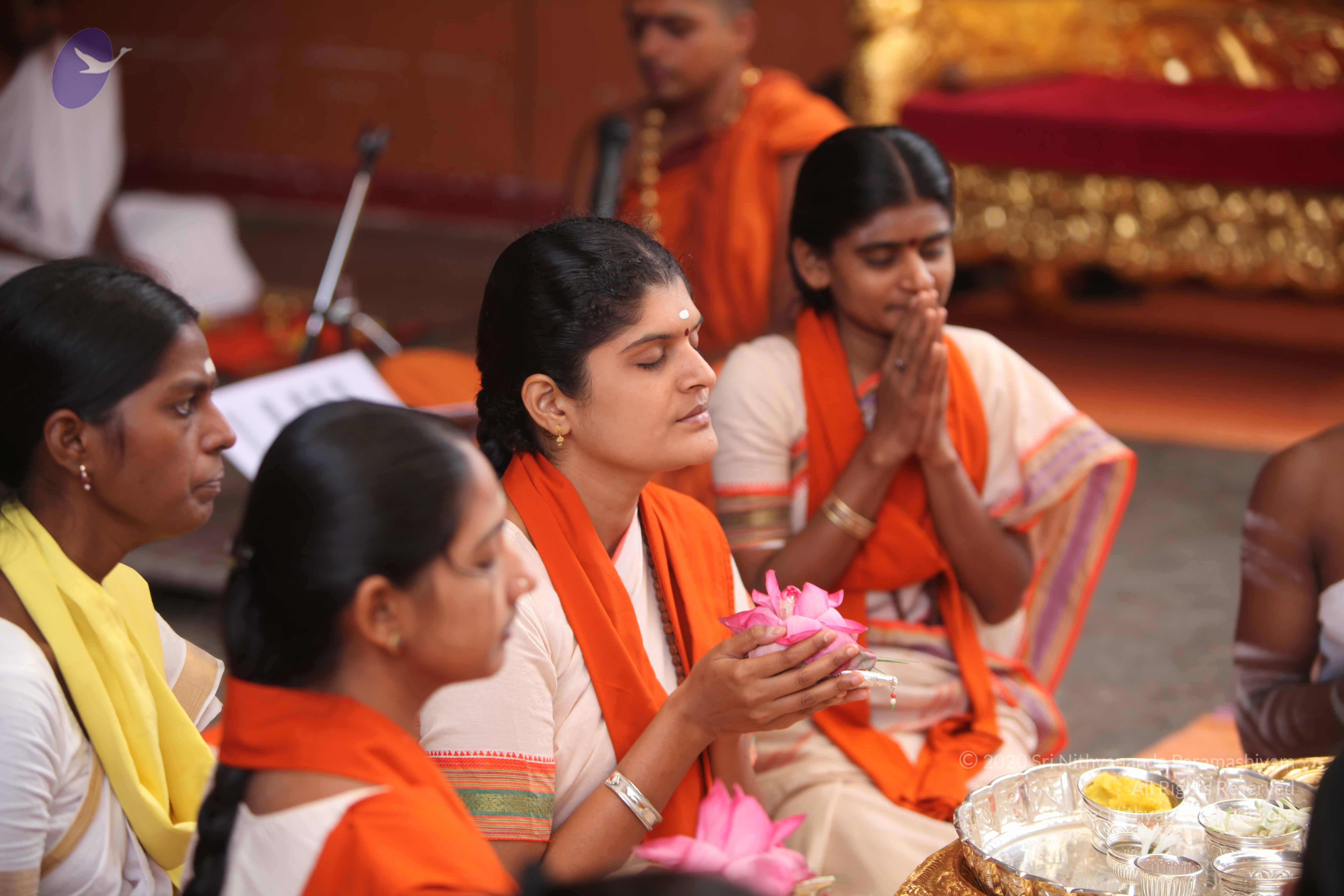 20101030_Photo_1161_IMG_7732_CMP_WM