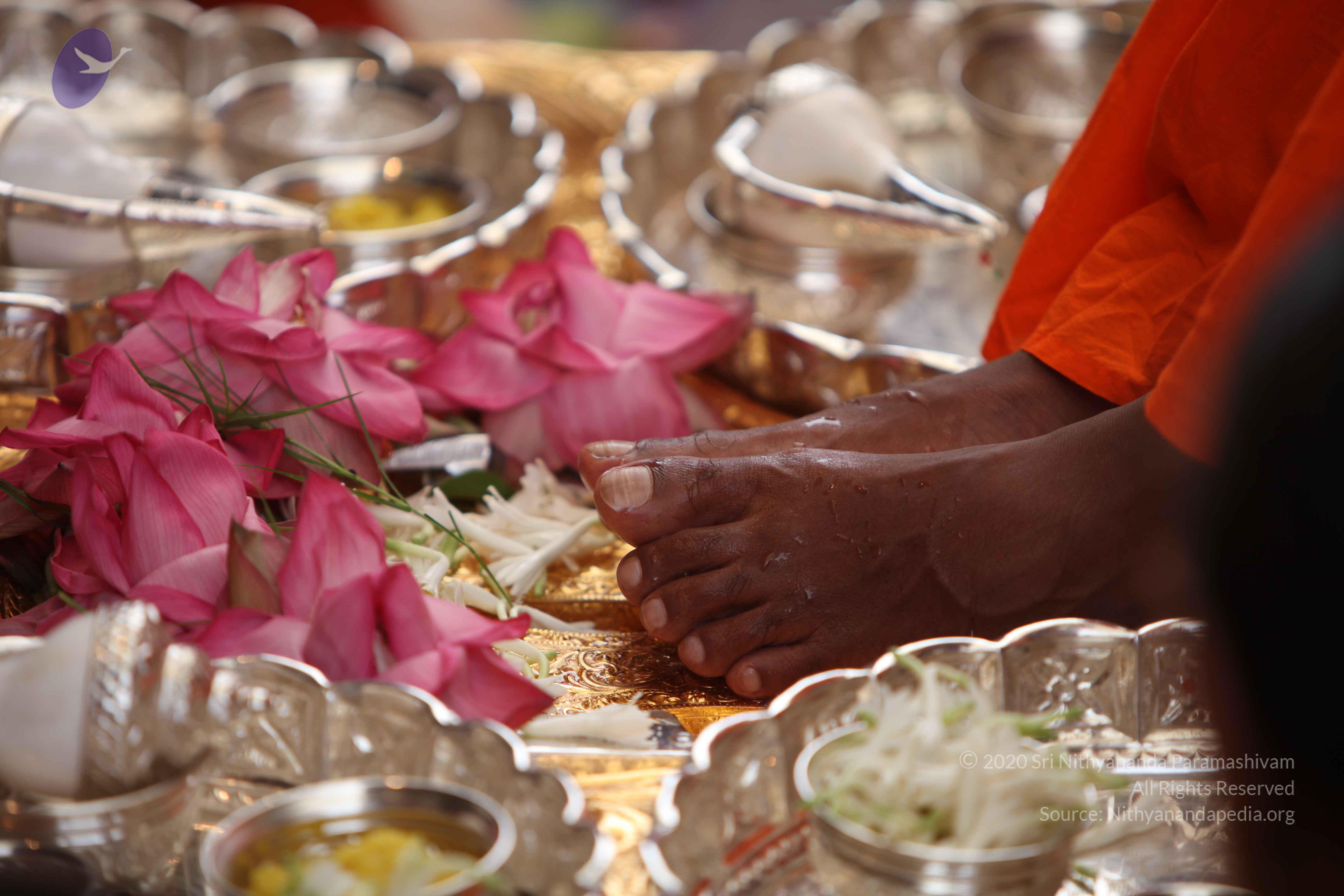 20101030_Photo_1164_IMG_7741_CMP_WM