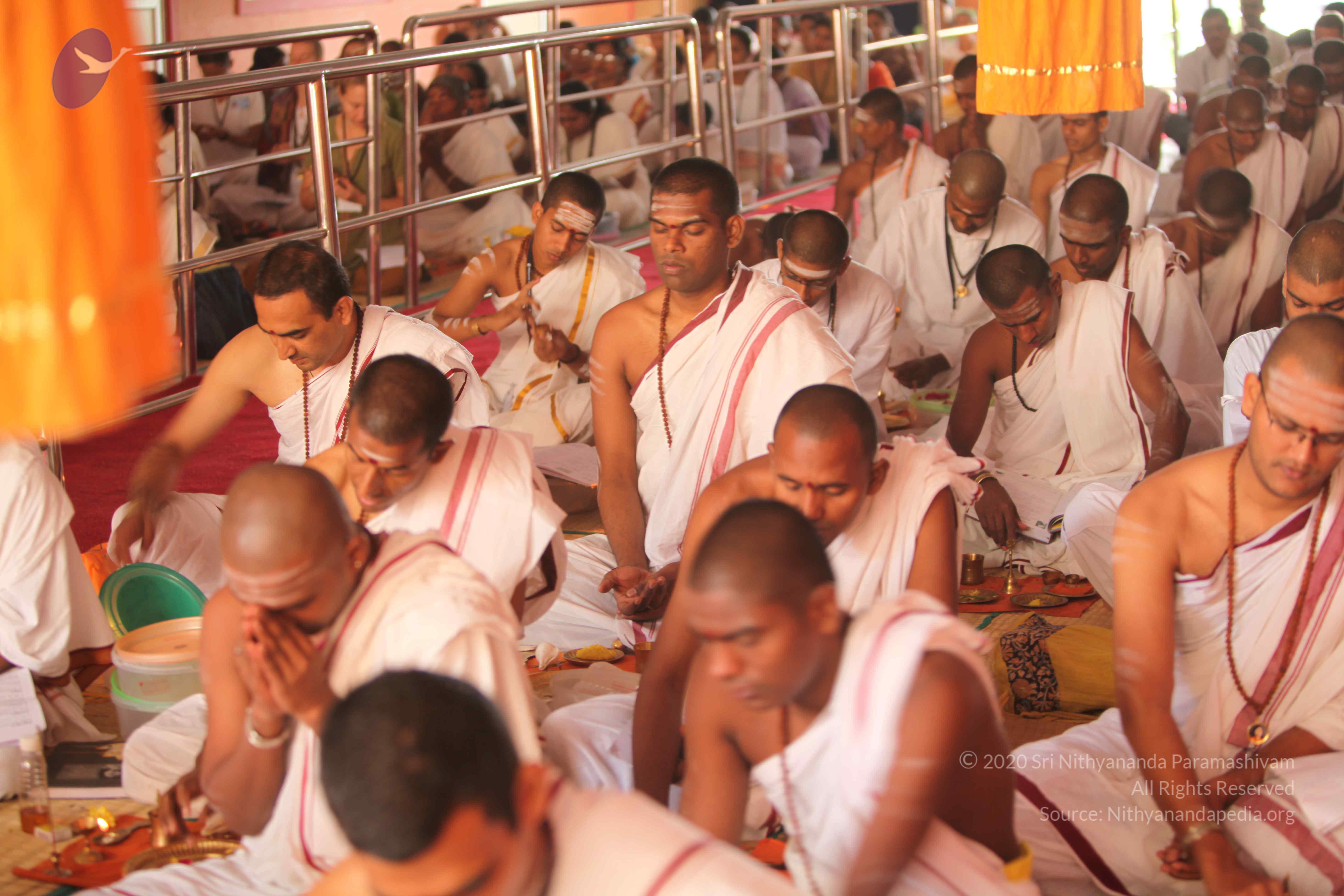 20101030_Photo_1165_IMG_7776_CMP_WM