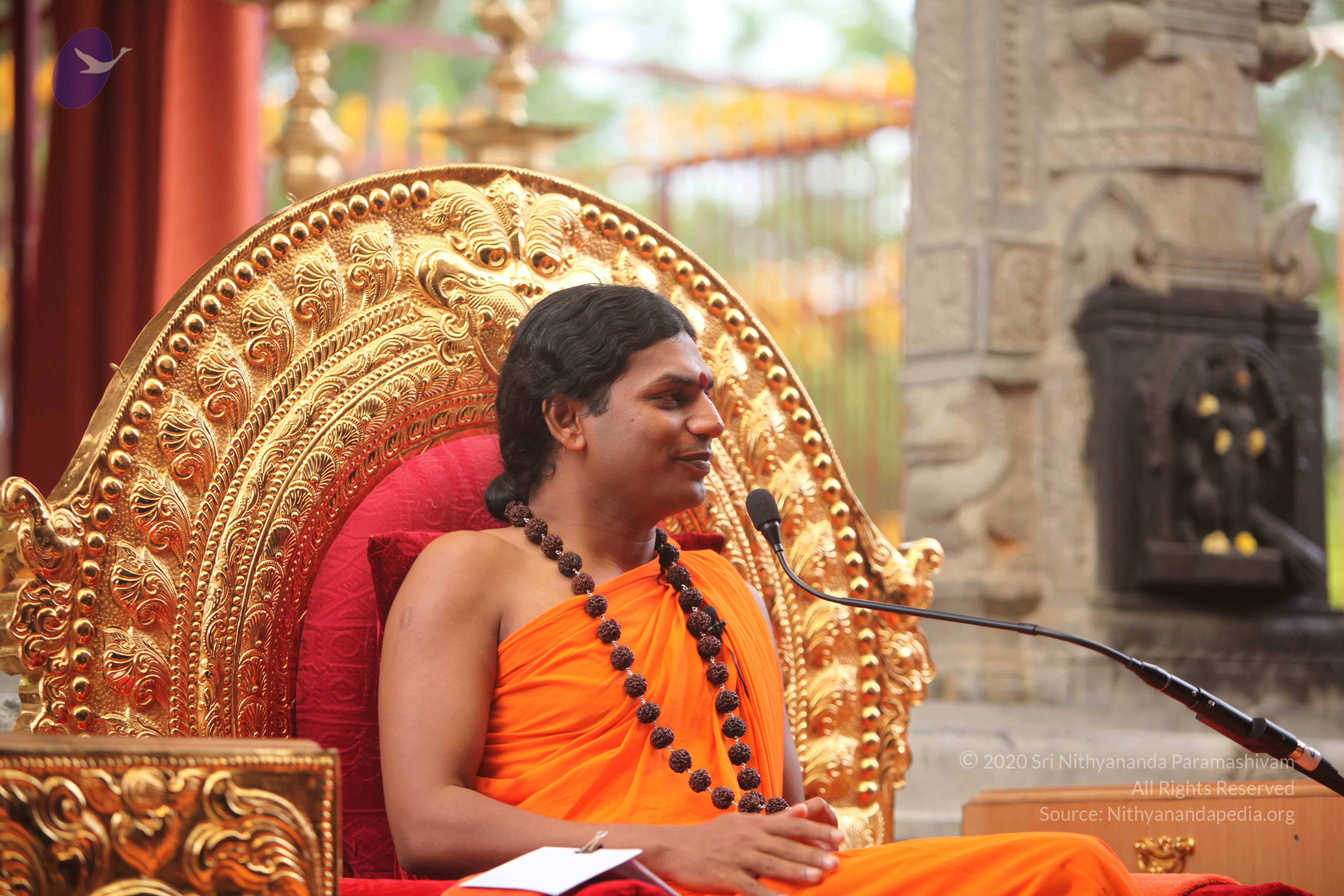 20101030_Photo_1167_IMG_7891_CMP_WM