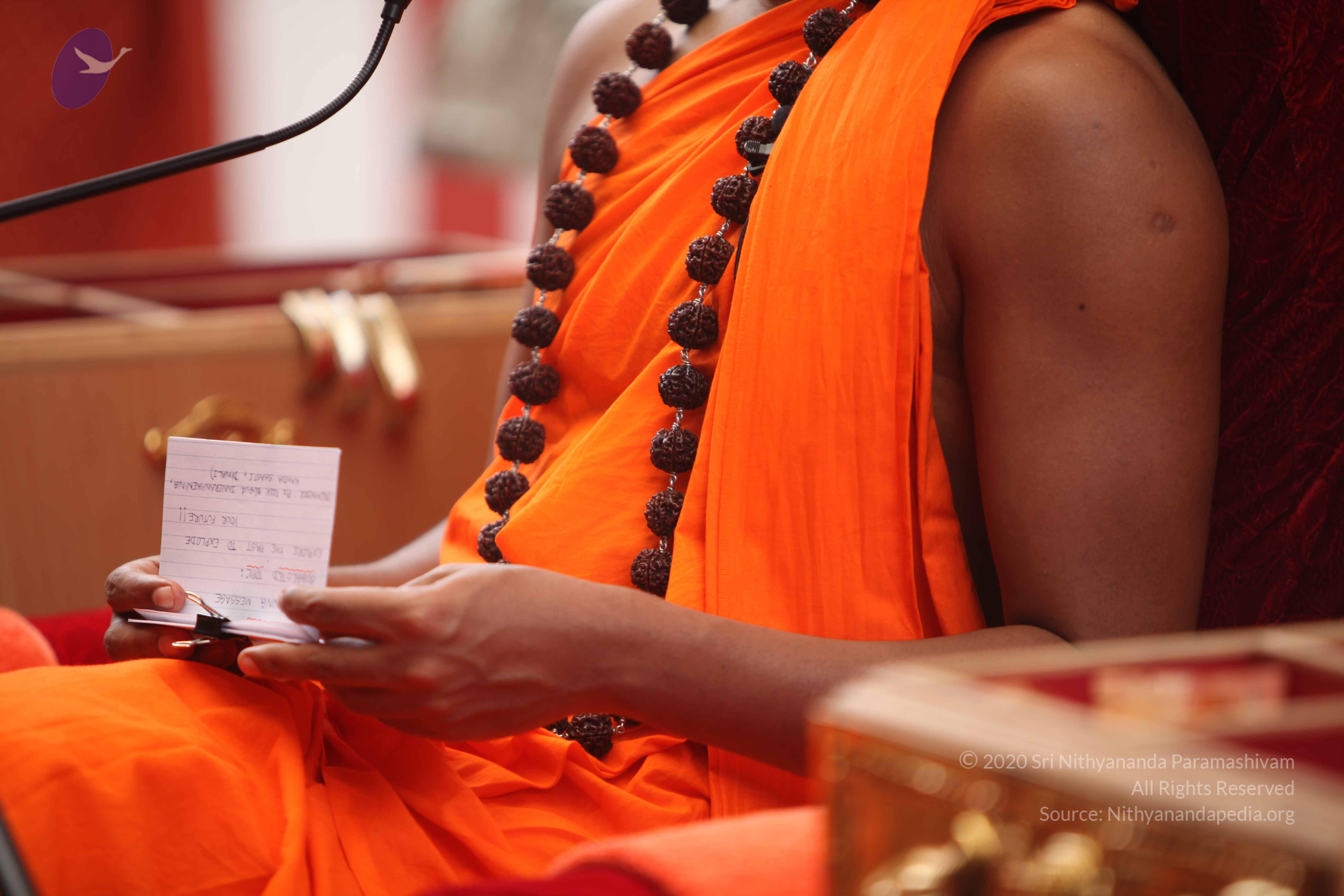 20101030_Photo_1168_IMG_7859_CMP_WM