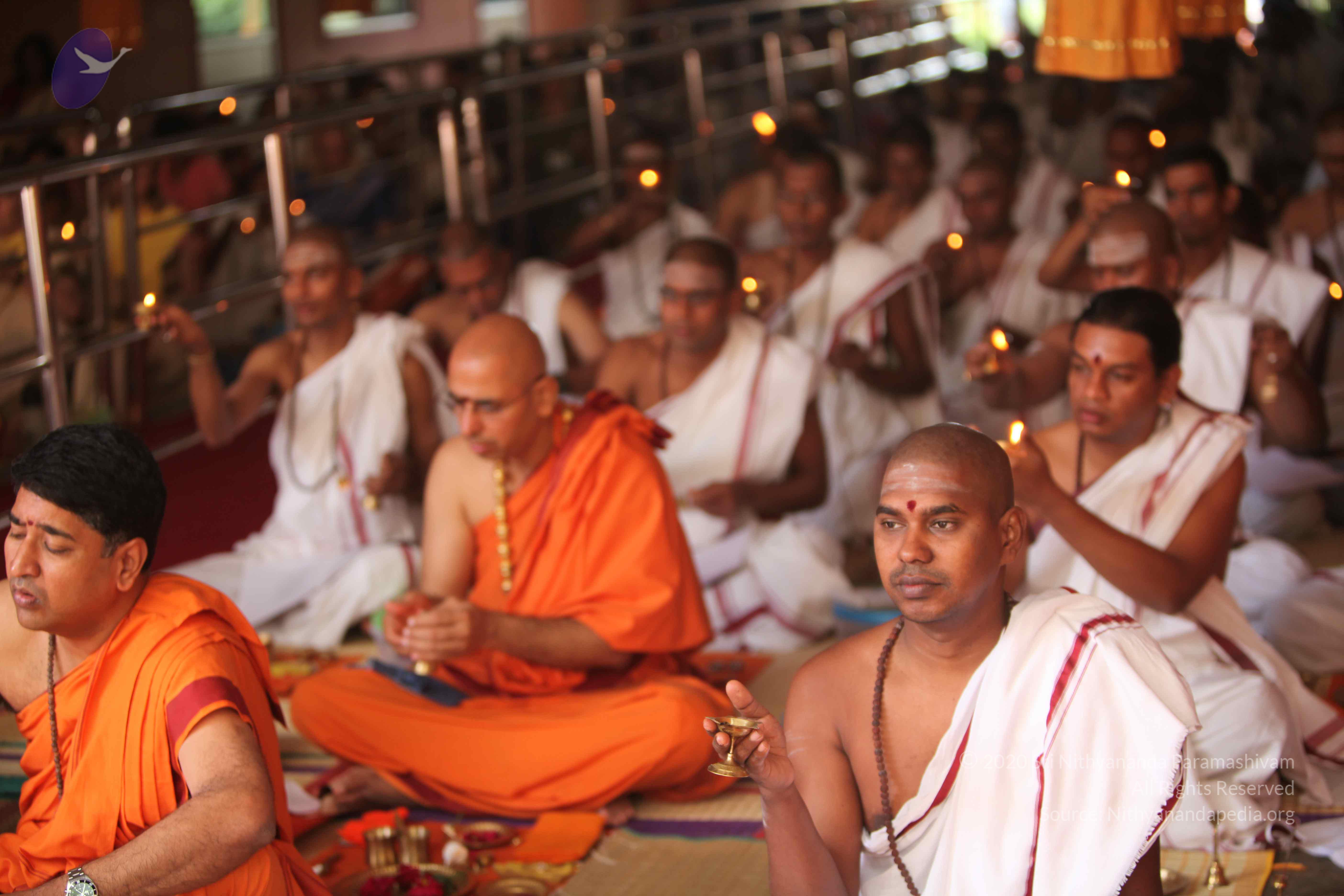 20101030_Photo_1169_IMG_7789_CMP_WM