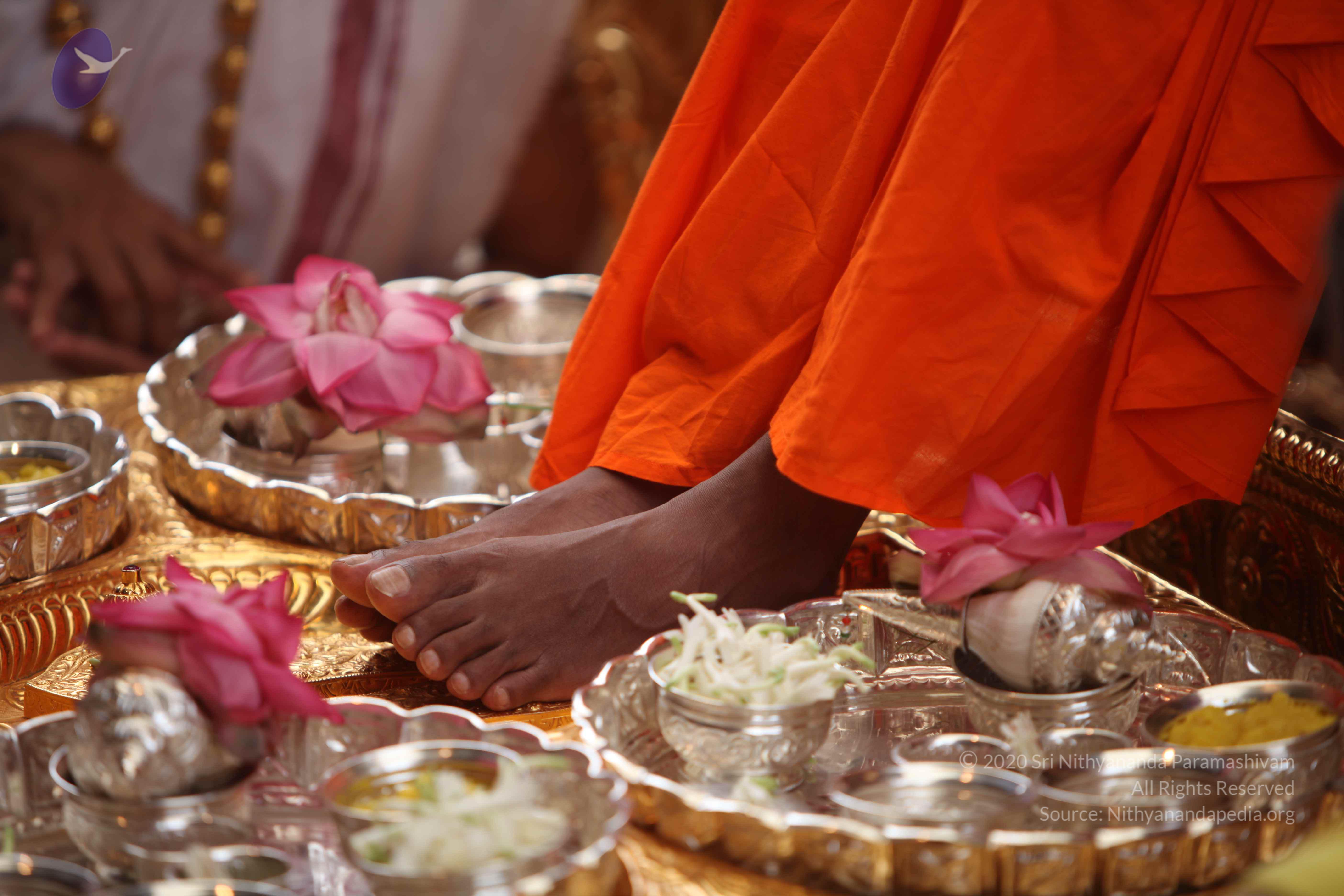 20101030_Photo_1171_IMG_7708_CMP_WM