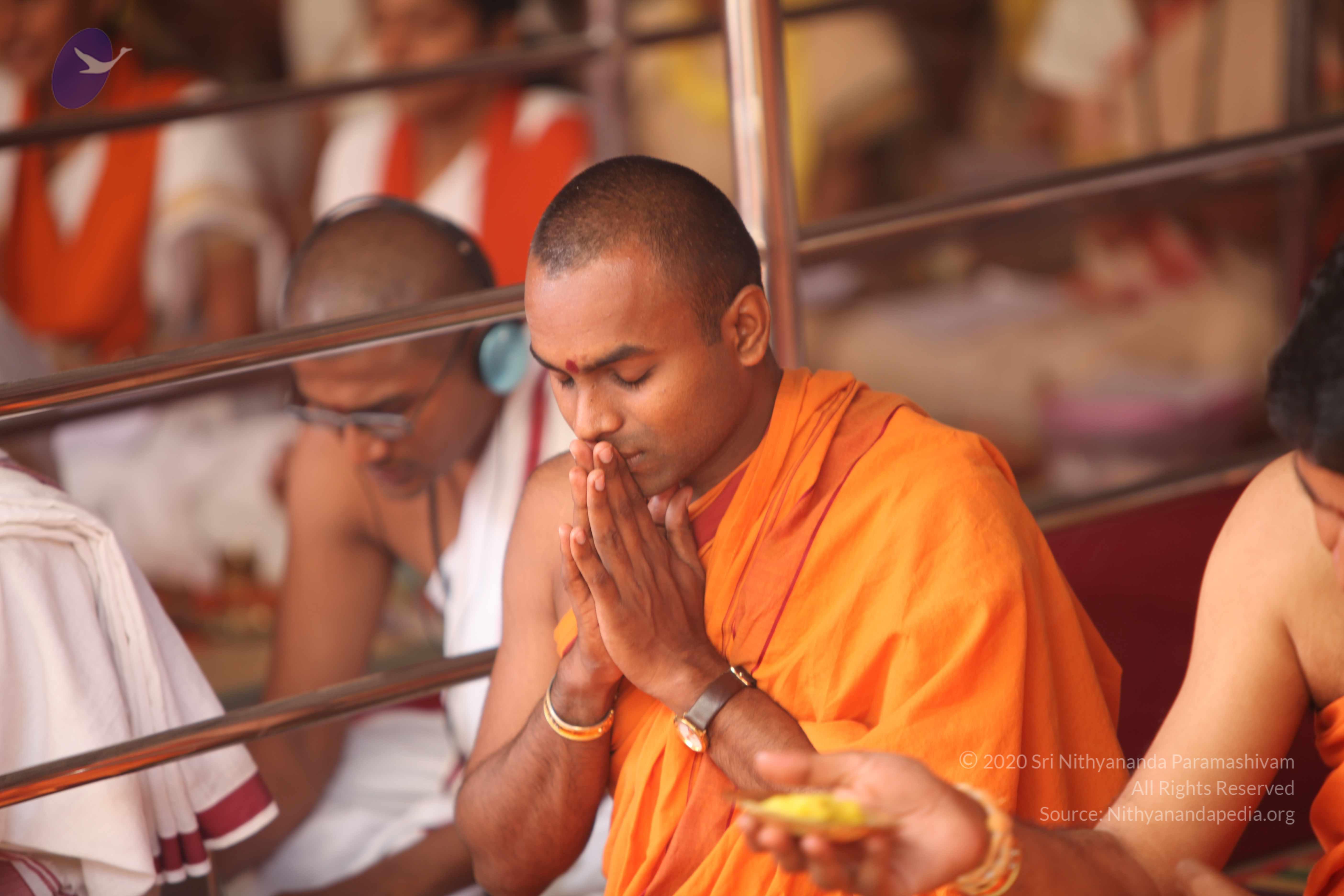 20101030_Photo_1173_IMG_7795_CMP_WM