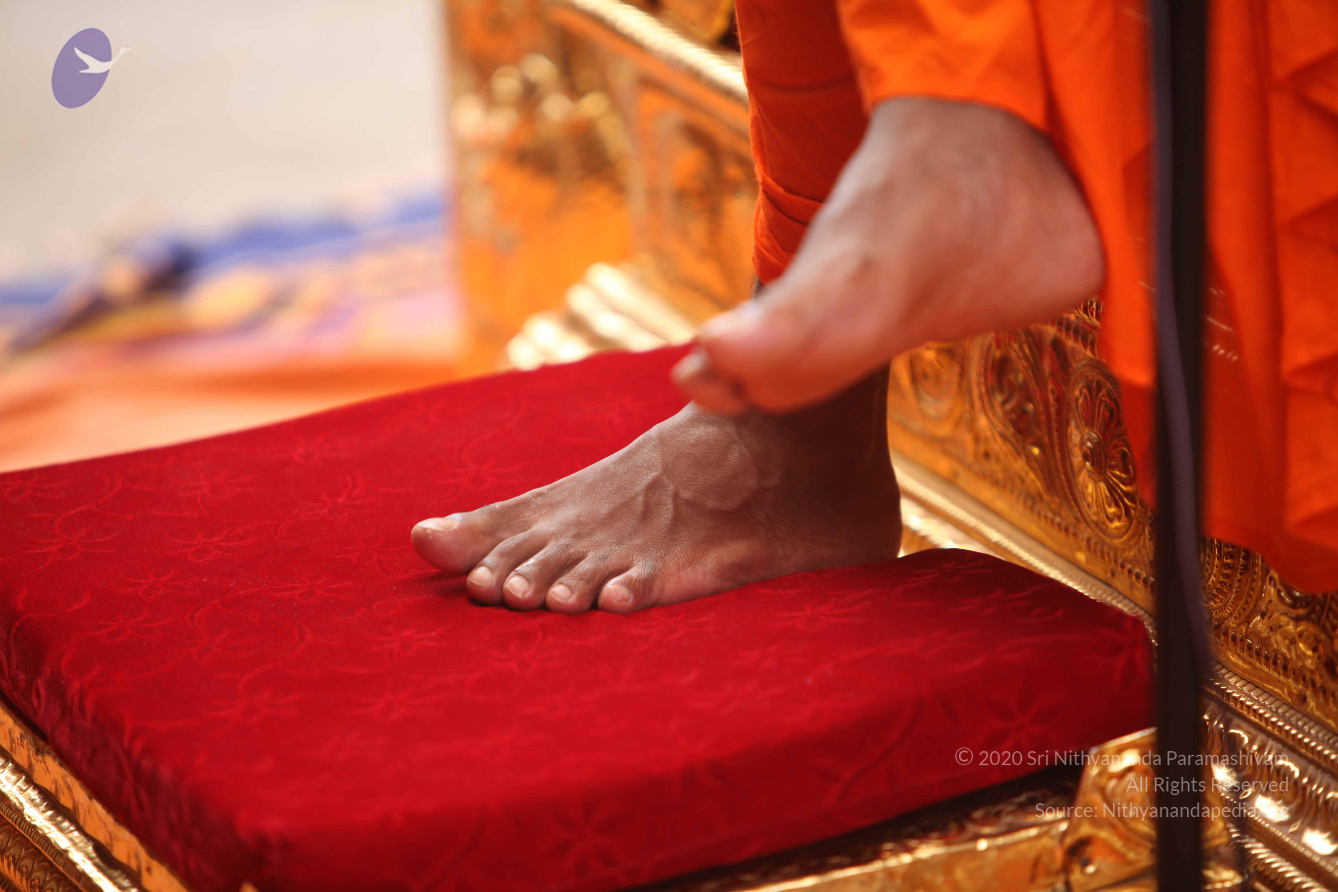 20101030_Photo_1175_IMG_7845_CMP_WM