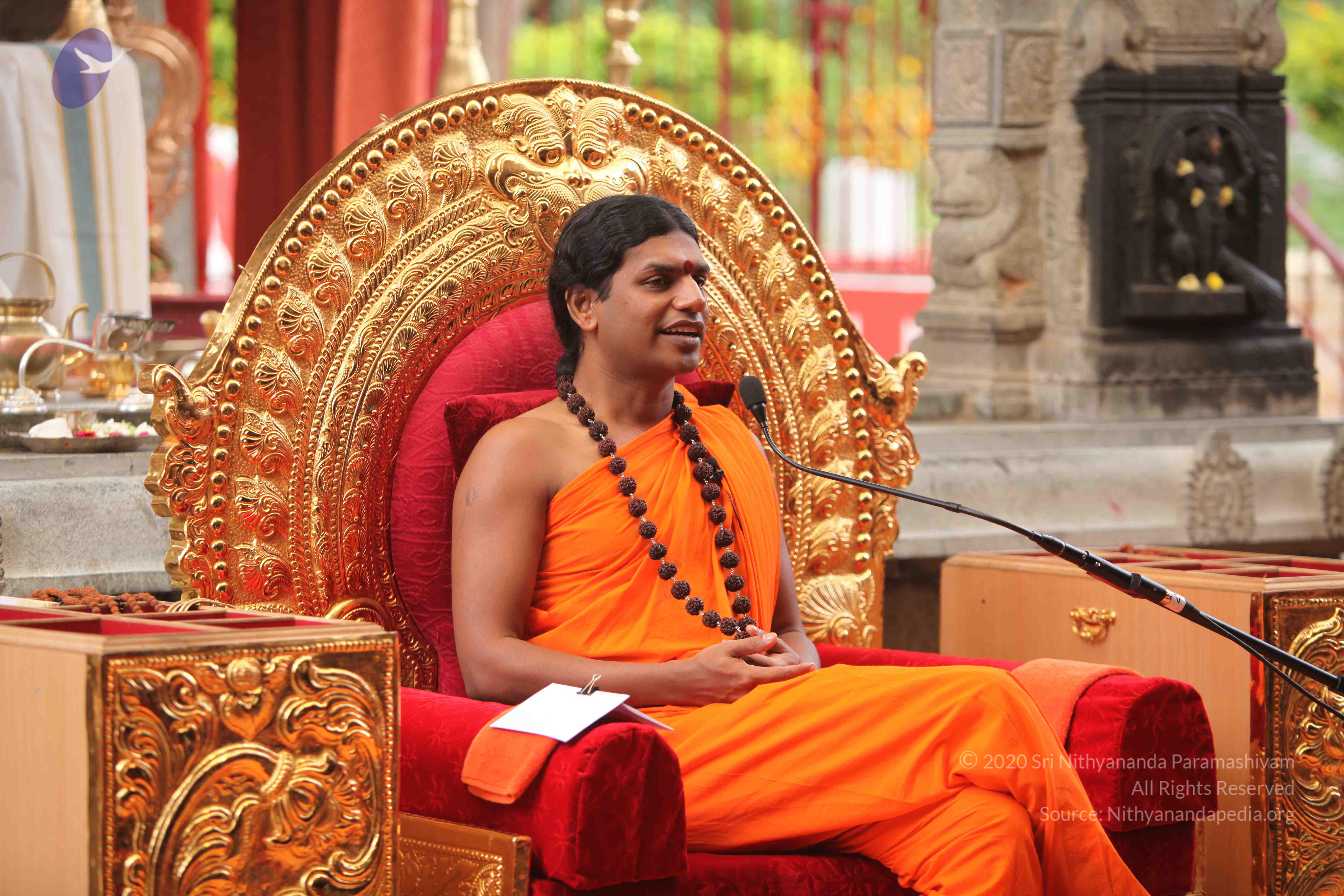 20101030_Photo_1176_IMG_7872_CMP_WM