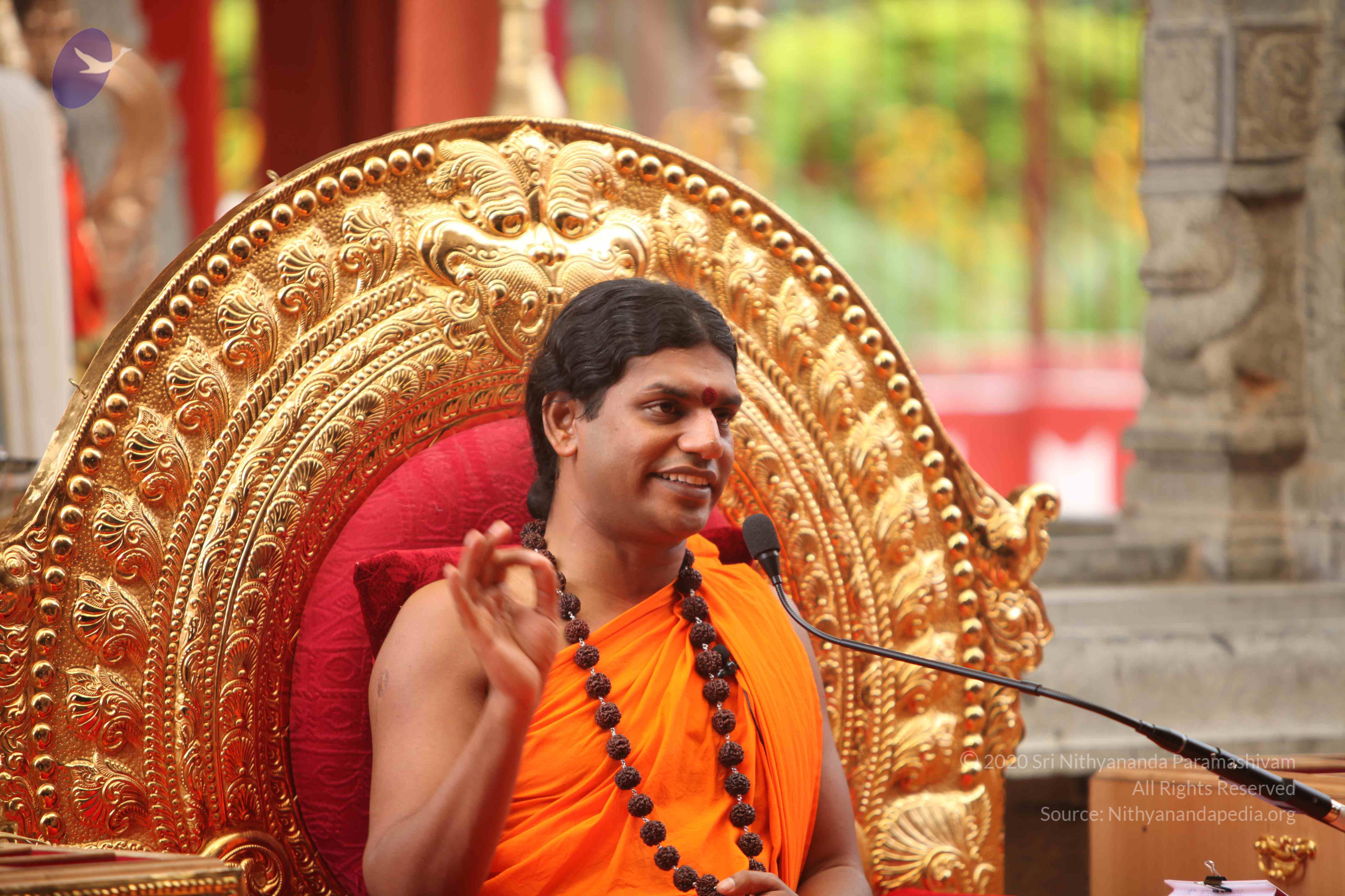 20101030_Photo_1178_IMG_7933_CMP_WM