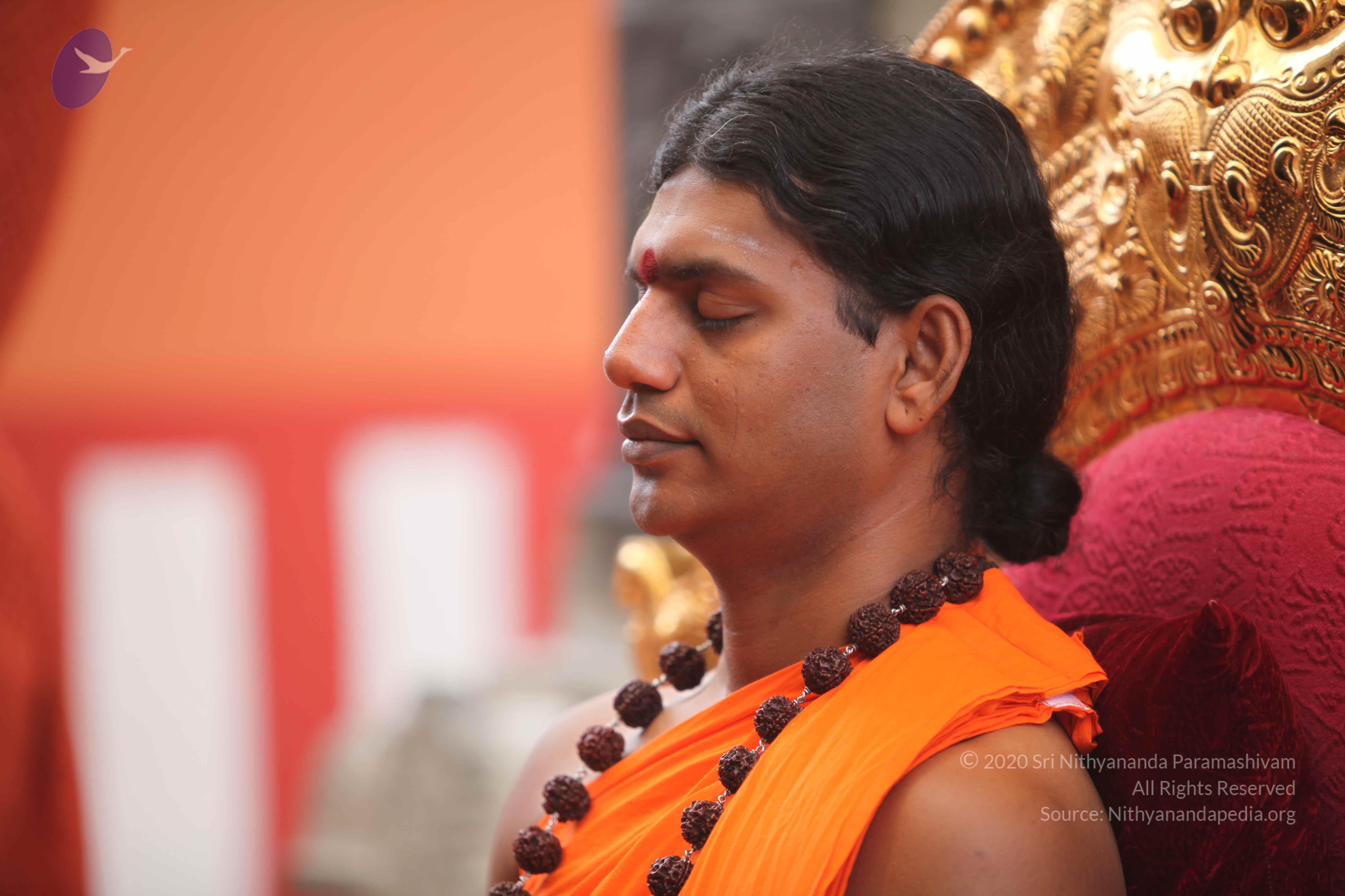 20101030_Photo_1186_IMG_7726_CMP_WM