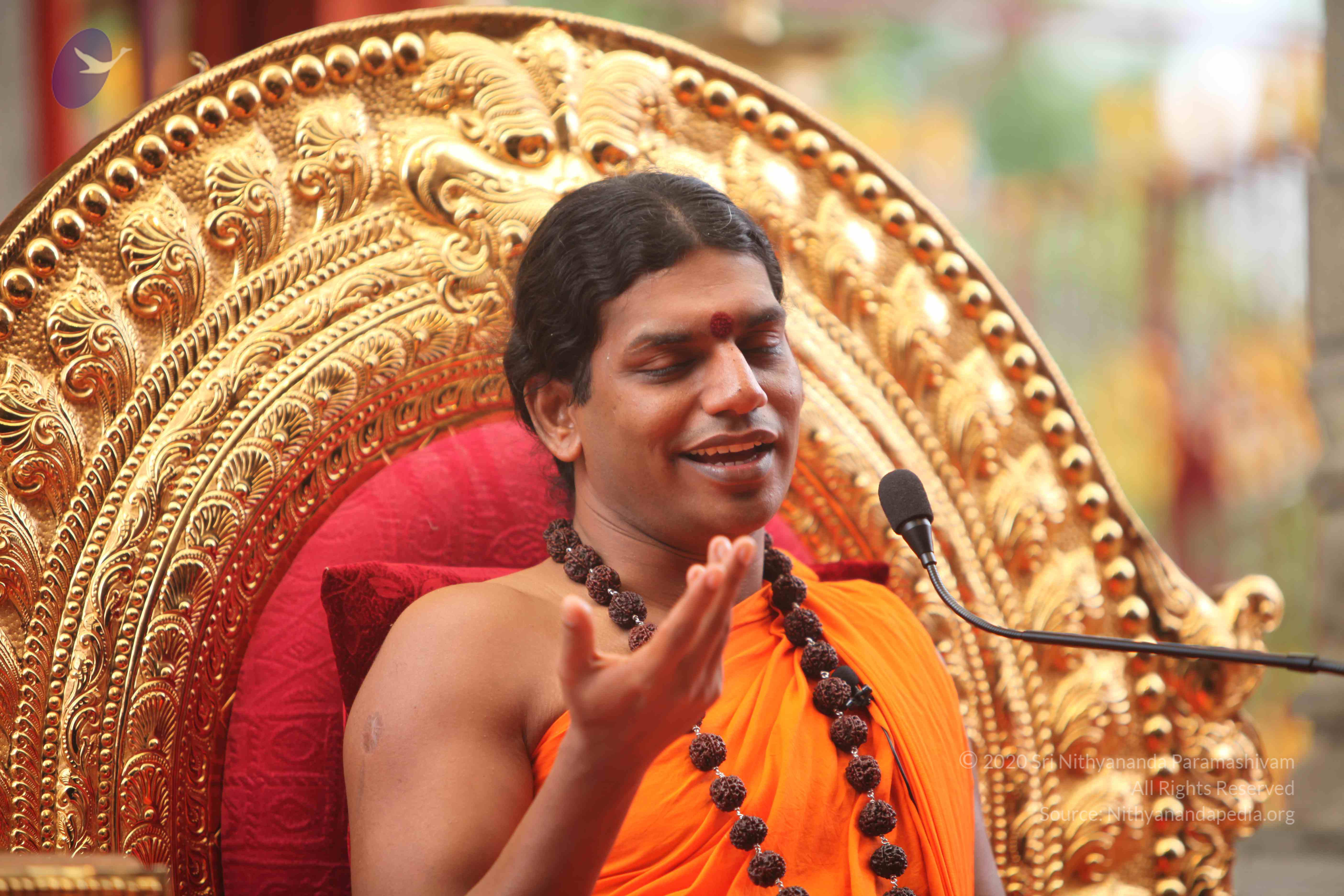 20101030_Photo_1187_IMG_7894_CMP_WM