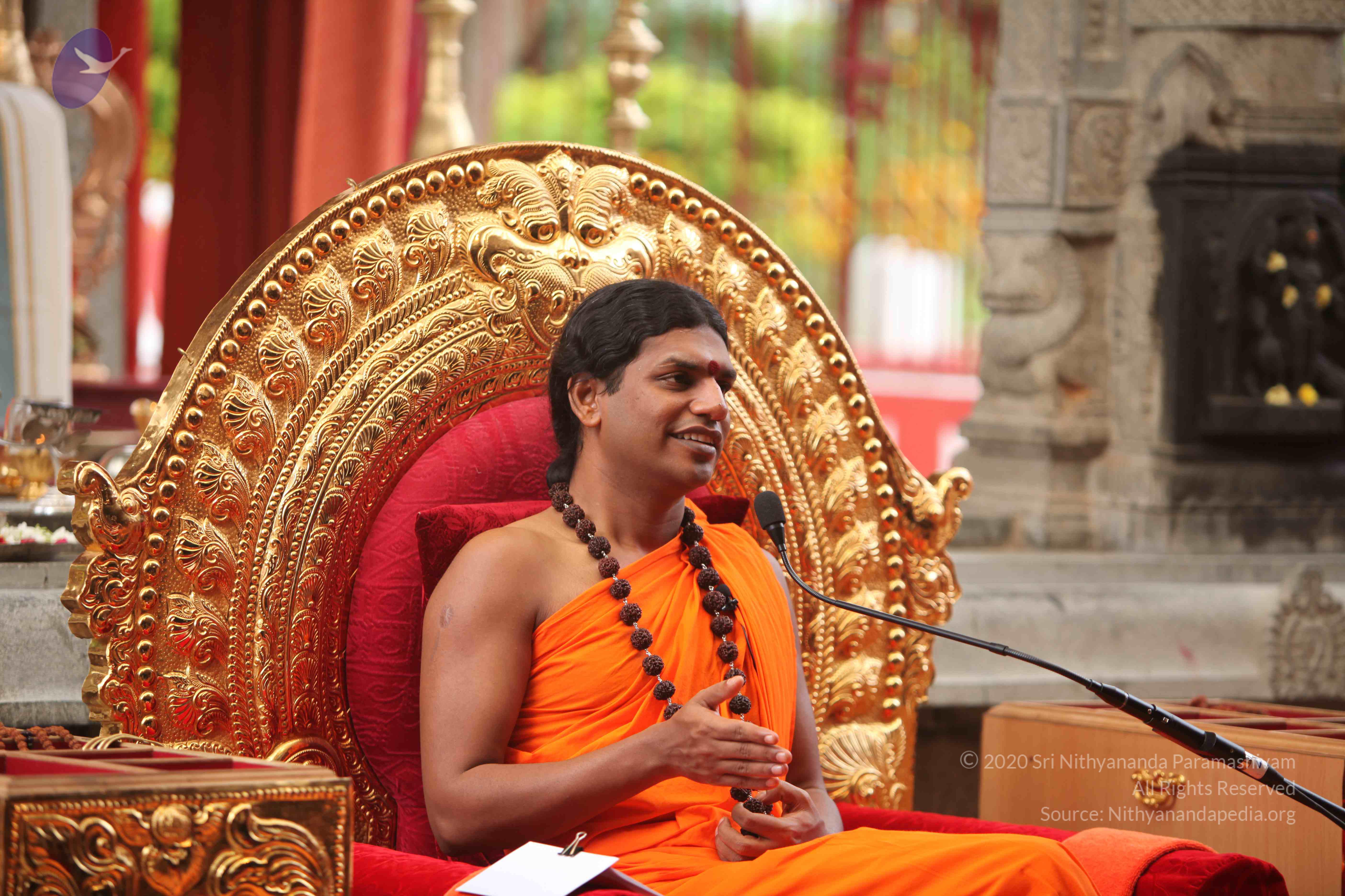 20101030_Photo_1191_IMG_7877_CMP_WM