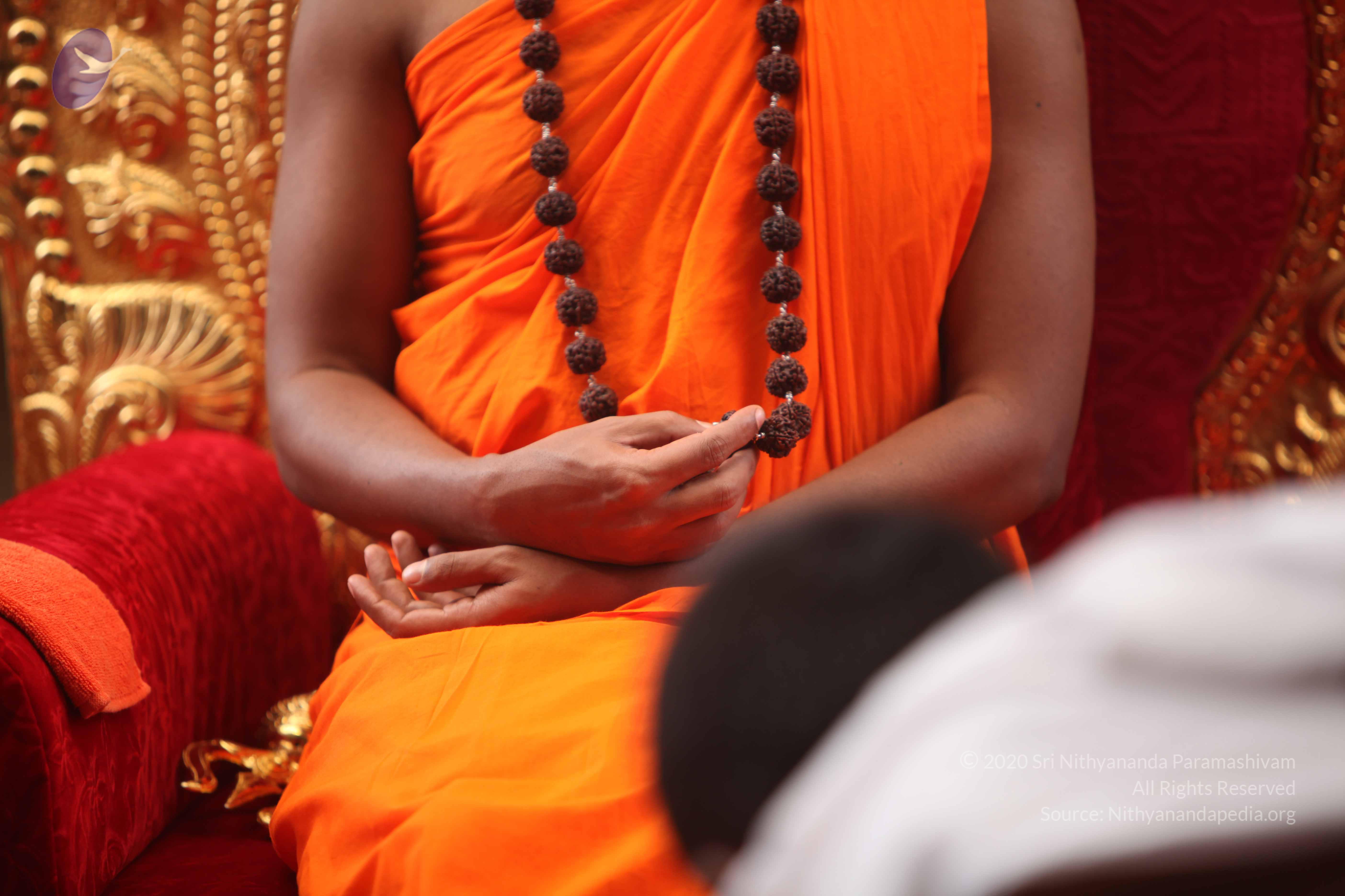 20101030_Photo_1193_IMG_7840_CMP_WM