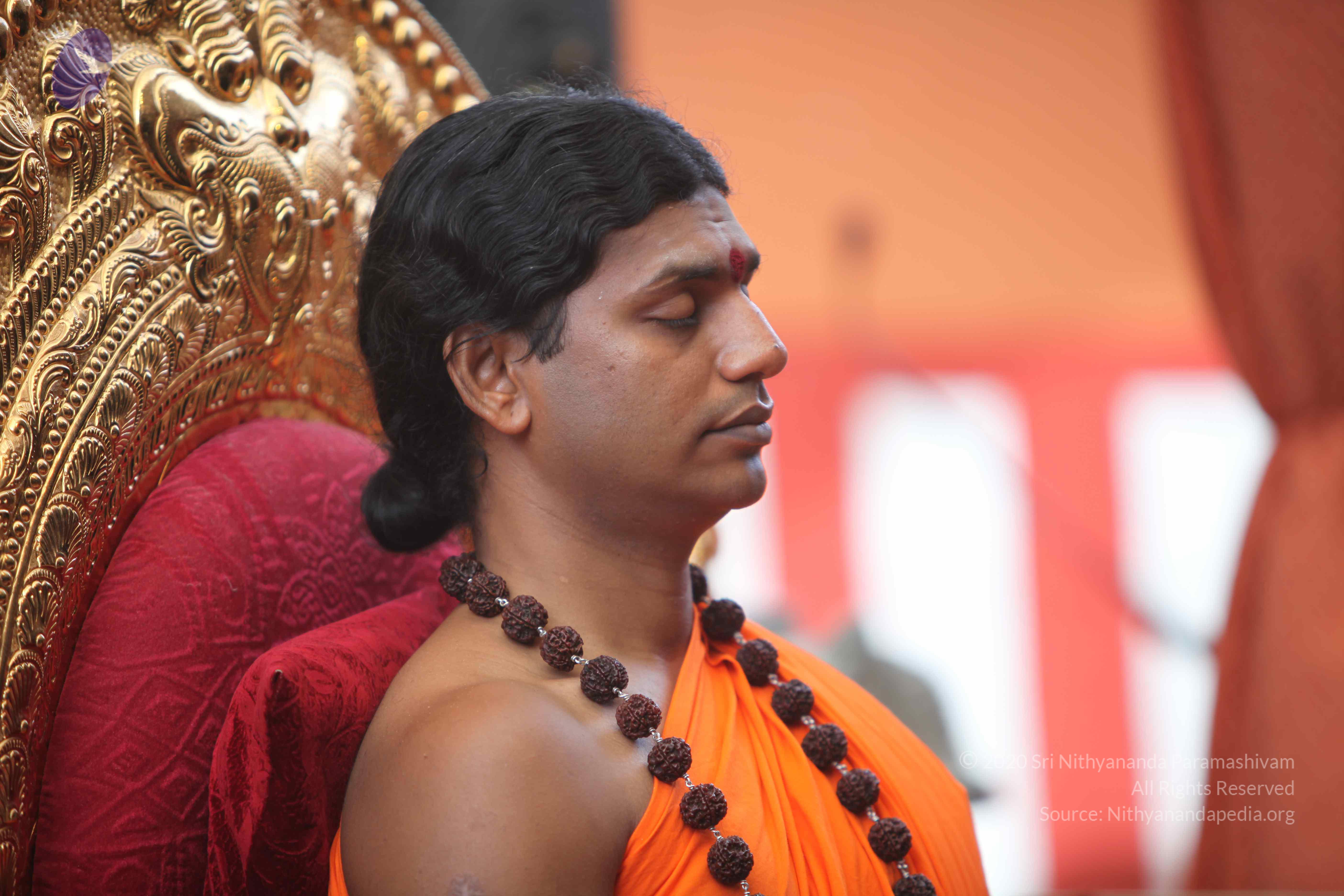 20101030_Photo_1194_IMG_7790_CMP_WM