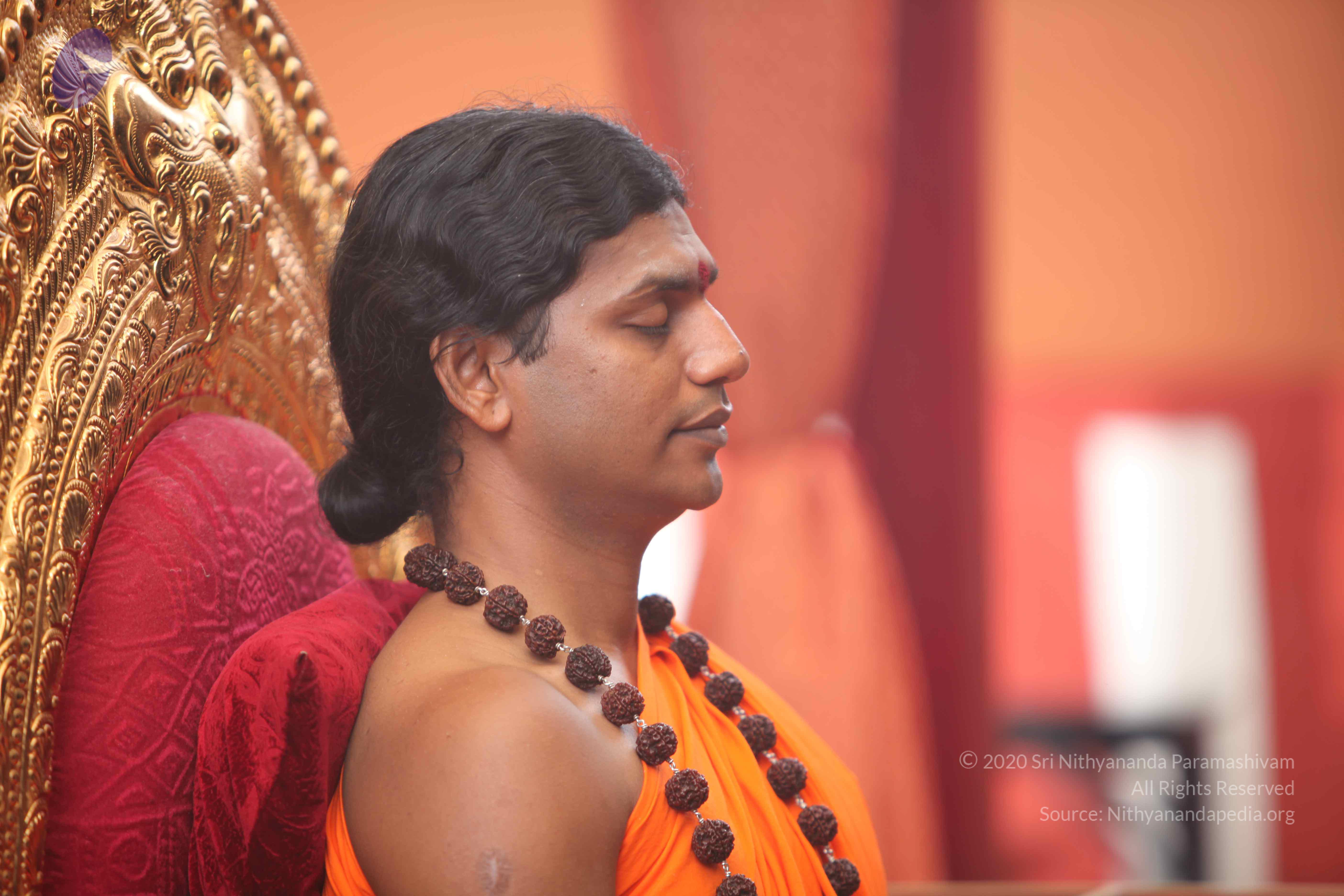 20101030_Photo_1198_IMG_7822_CMP_WM