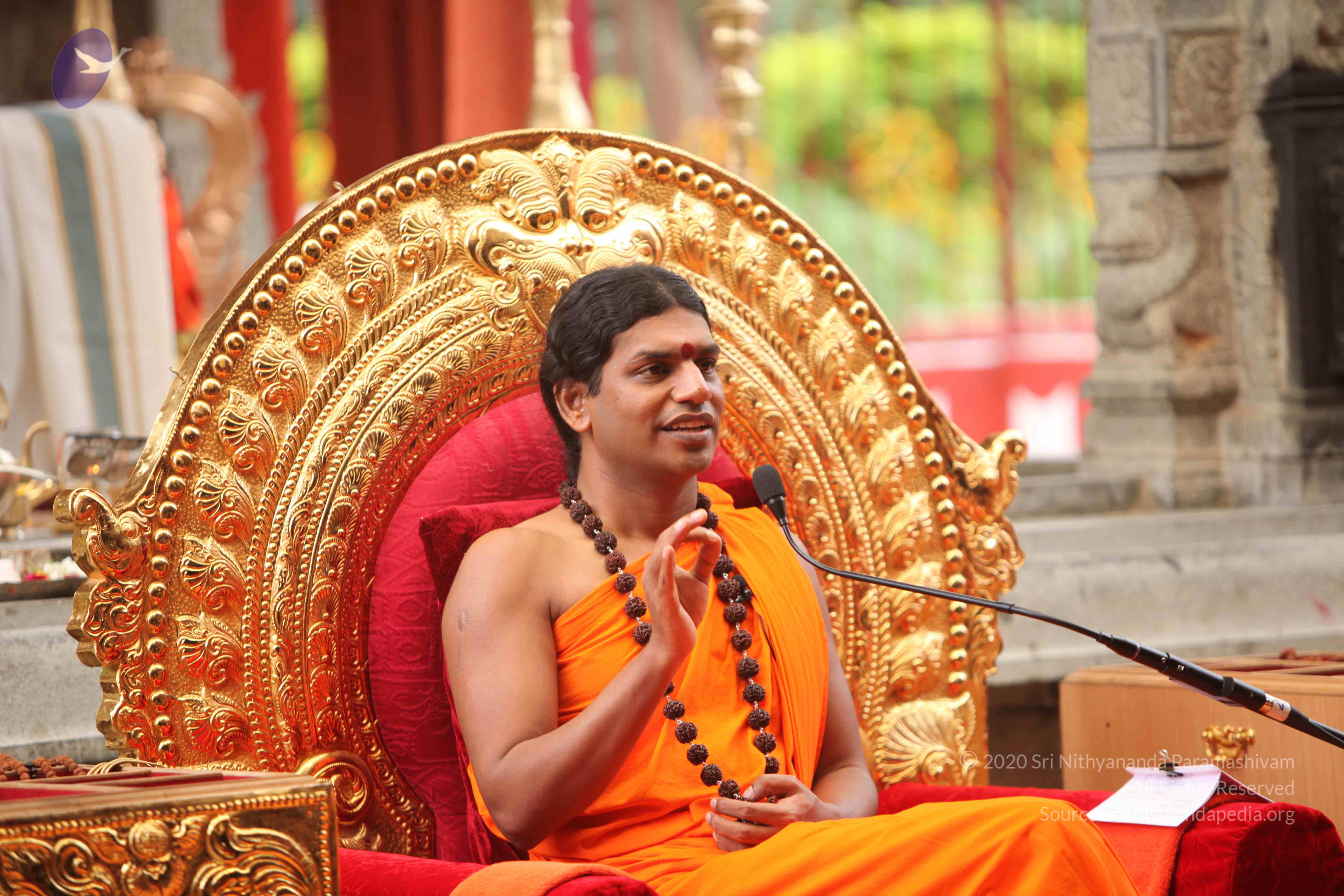 20101030_Photo_1200_IMG_7936_CMP_WM