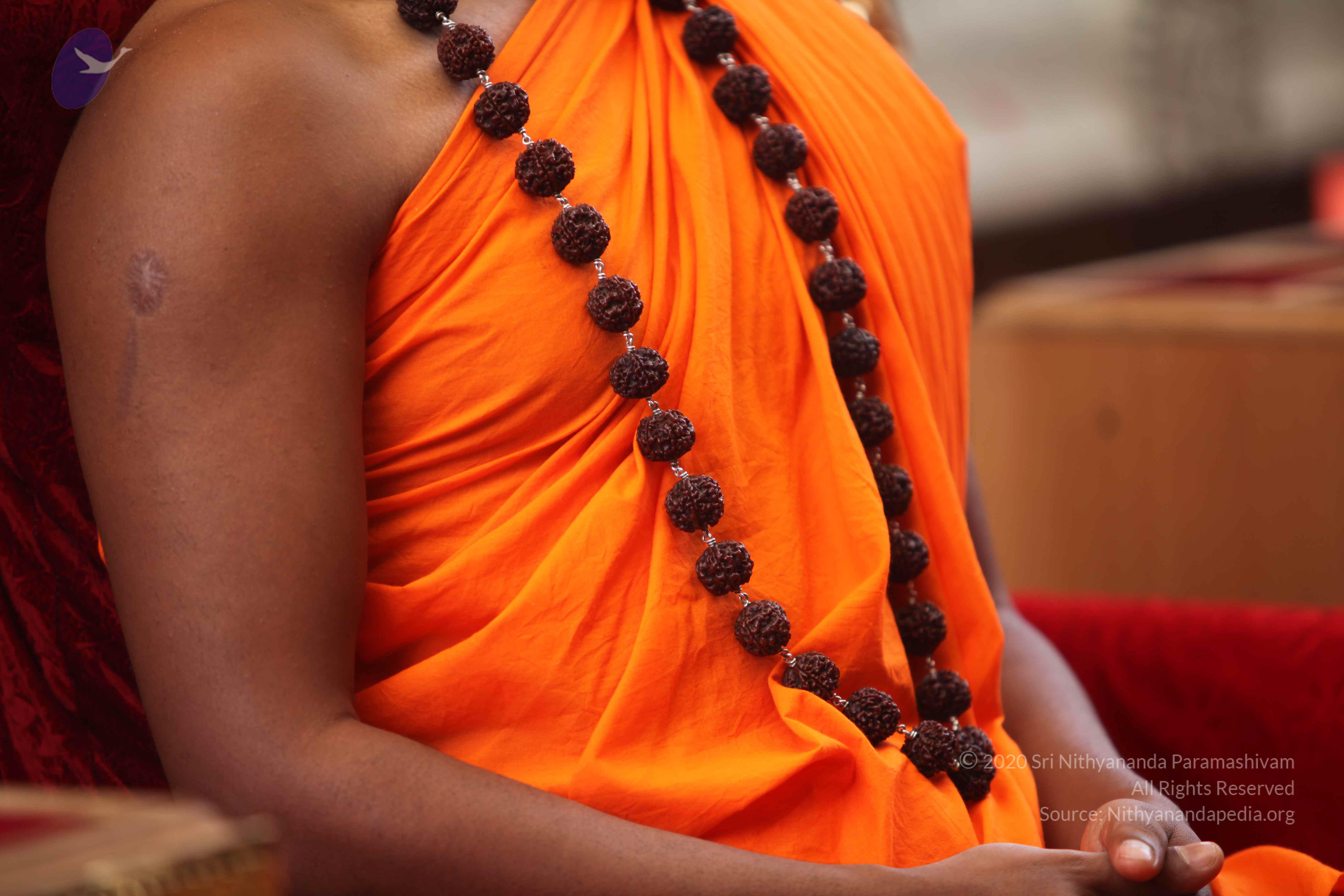 20101030_Photo_1201_IMG_7758_CMP_WM