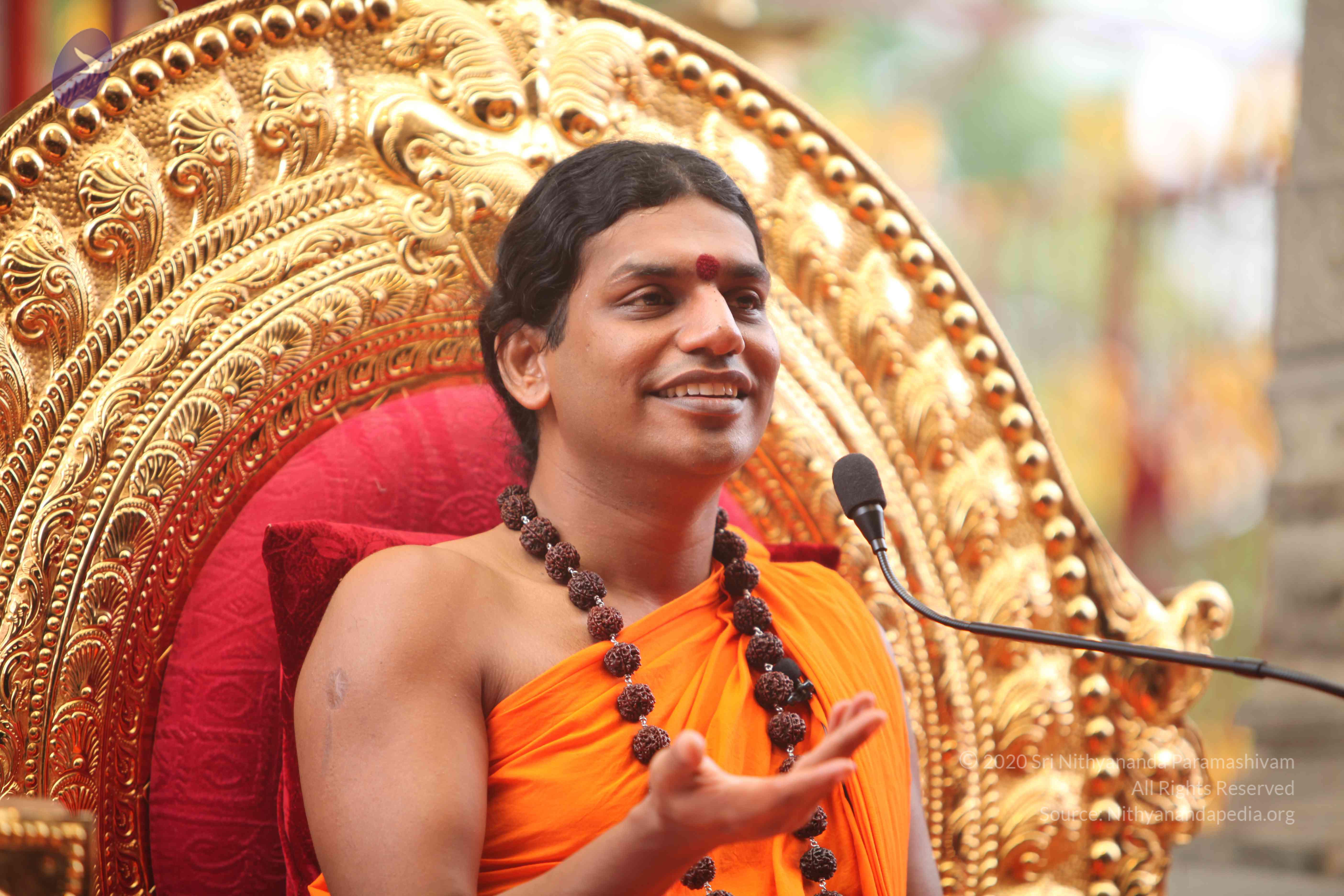 20101030_Photo_1203_IMG_7899_CMP_WM