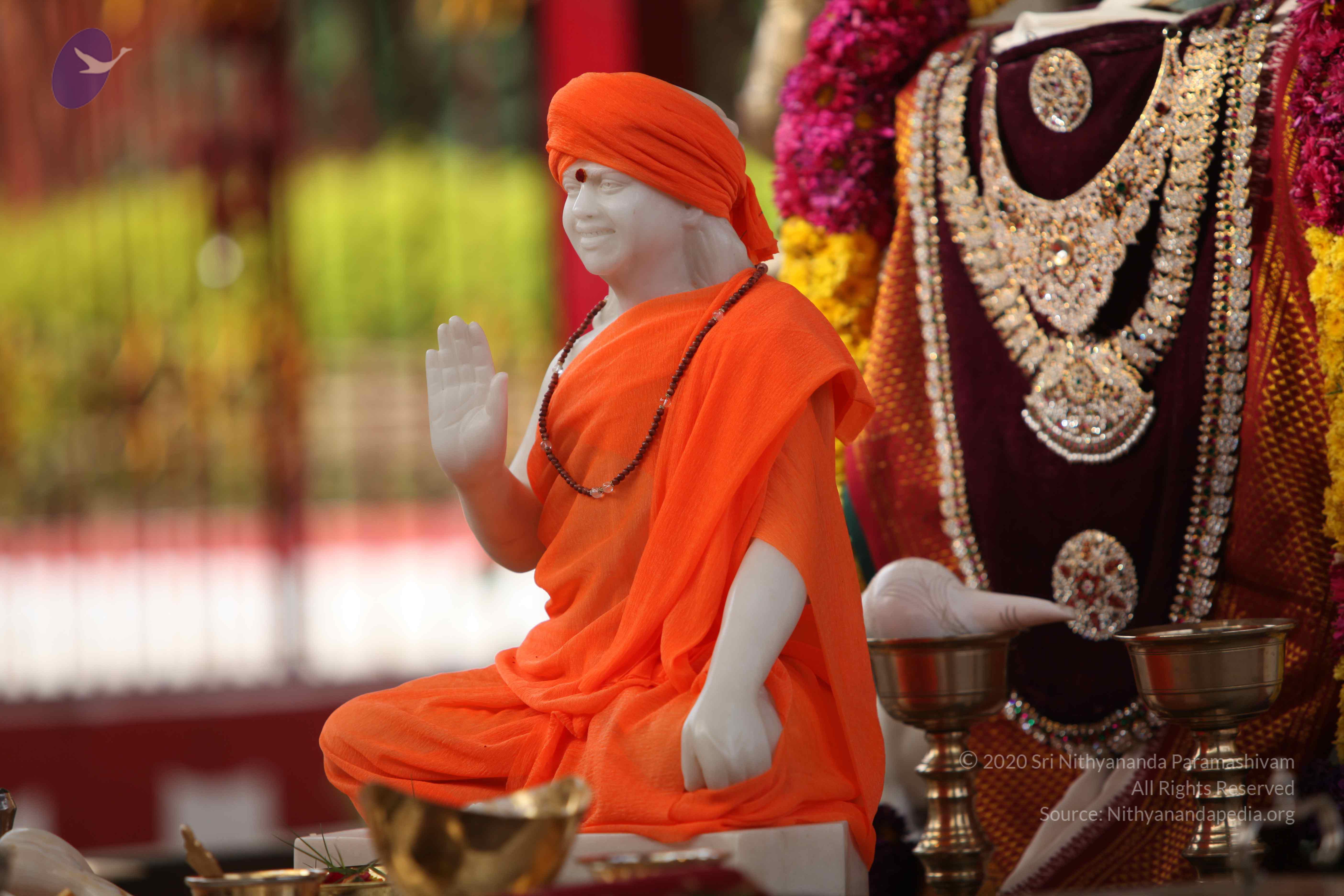 20101030_Photo_1204_IMG_7749_CMP_WM