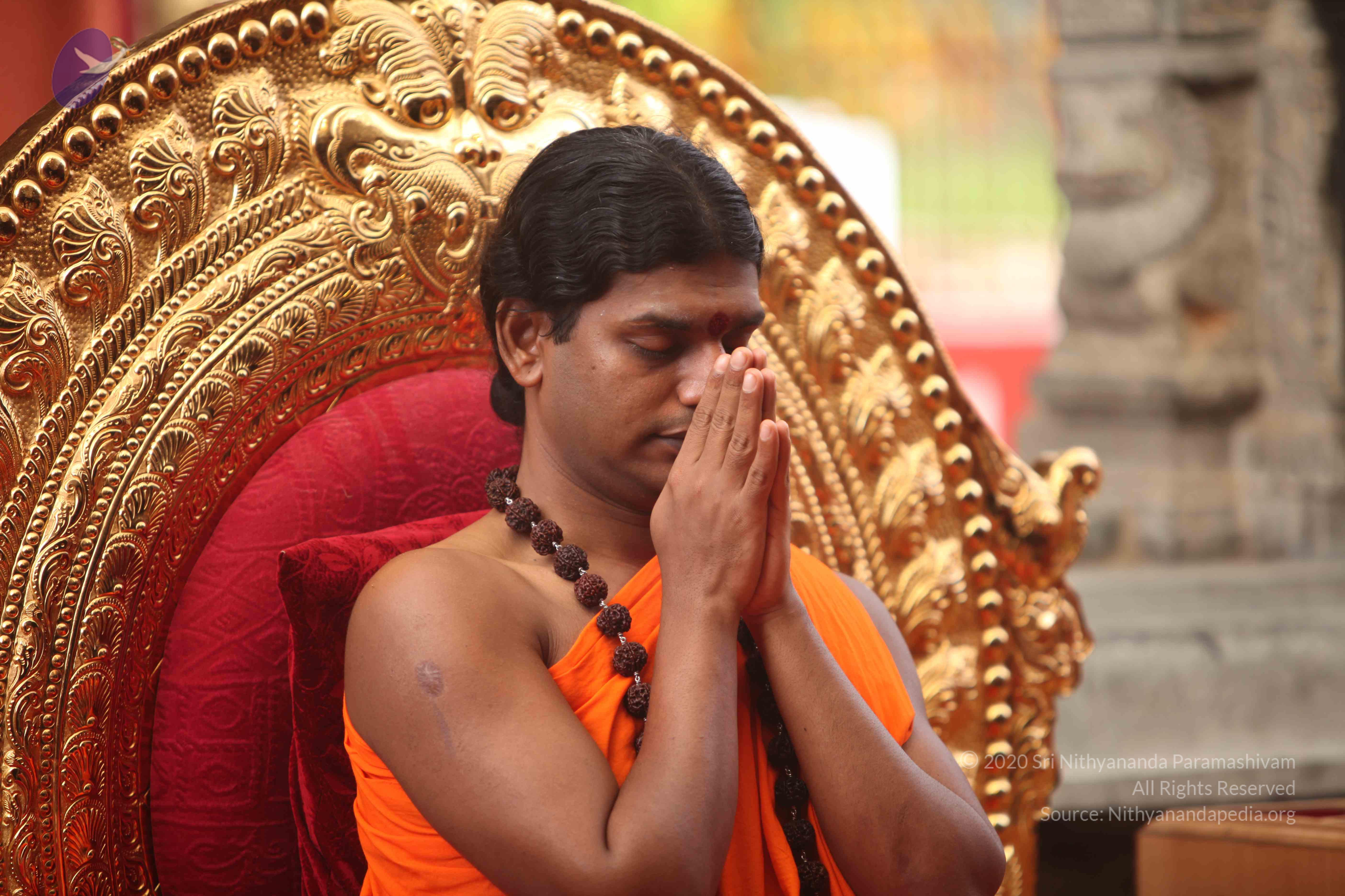 20101030_Photo_1206_IMG_7833_CMP_WM