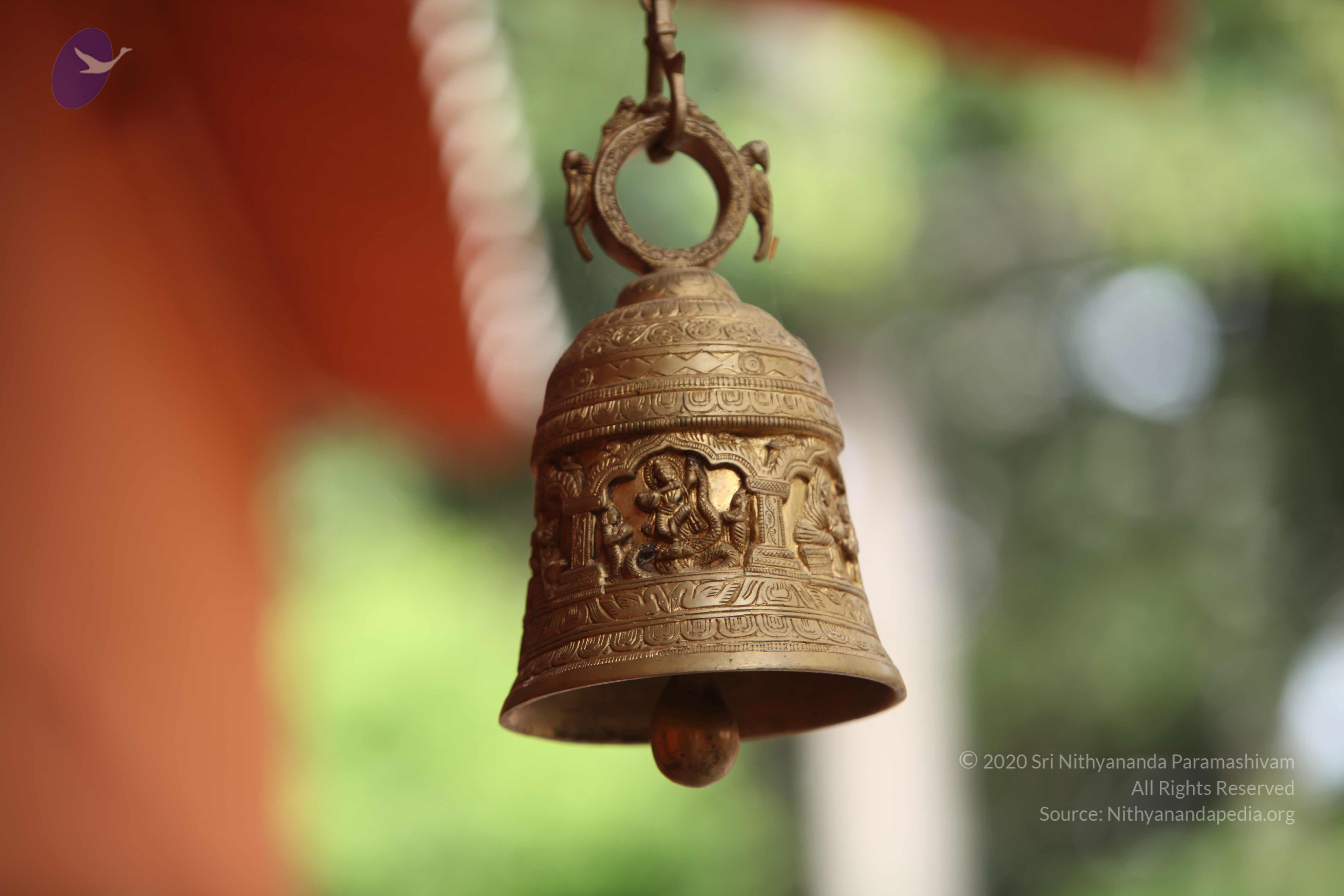 20101030_Photo_1207_IMG_7804_CMP_WM