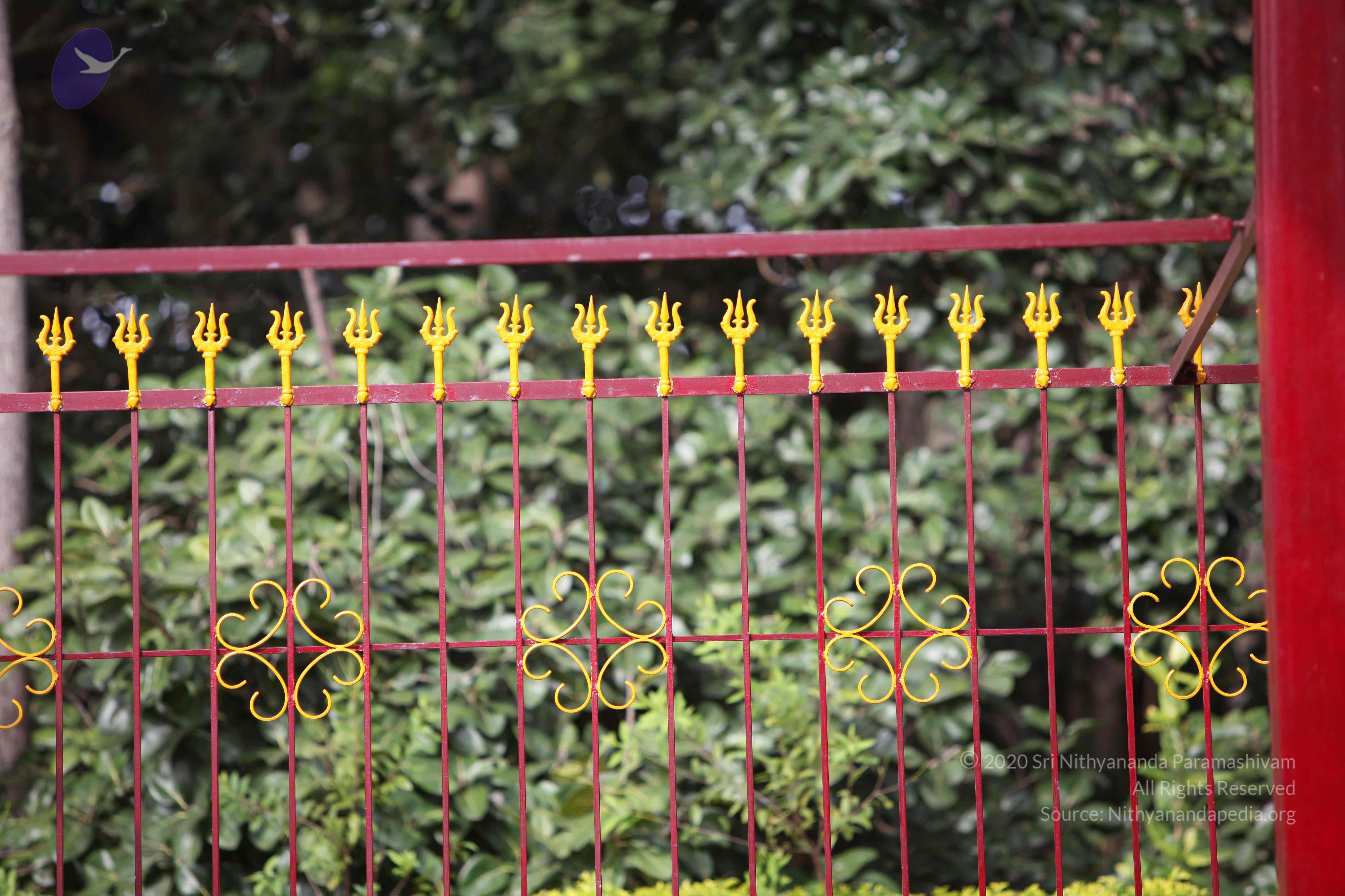 20101030_Photo_1208_IMG_7781_CMP_WM