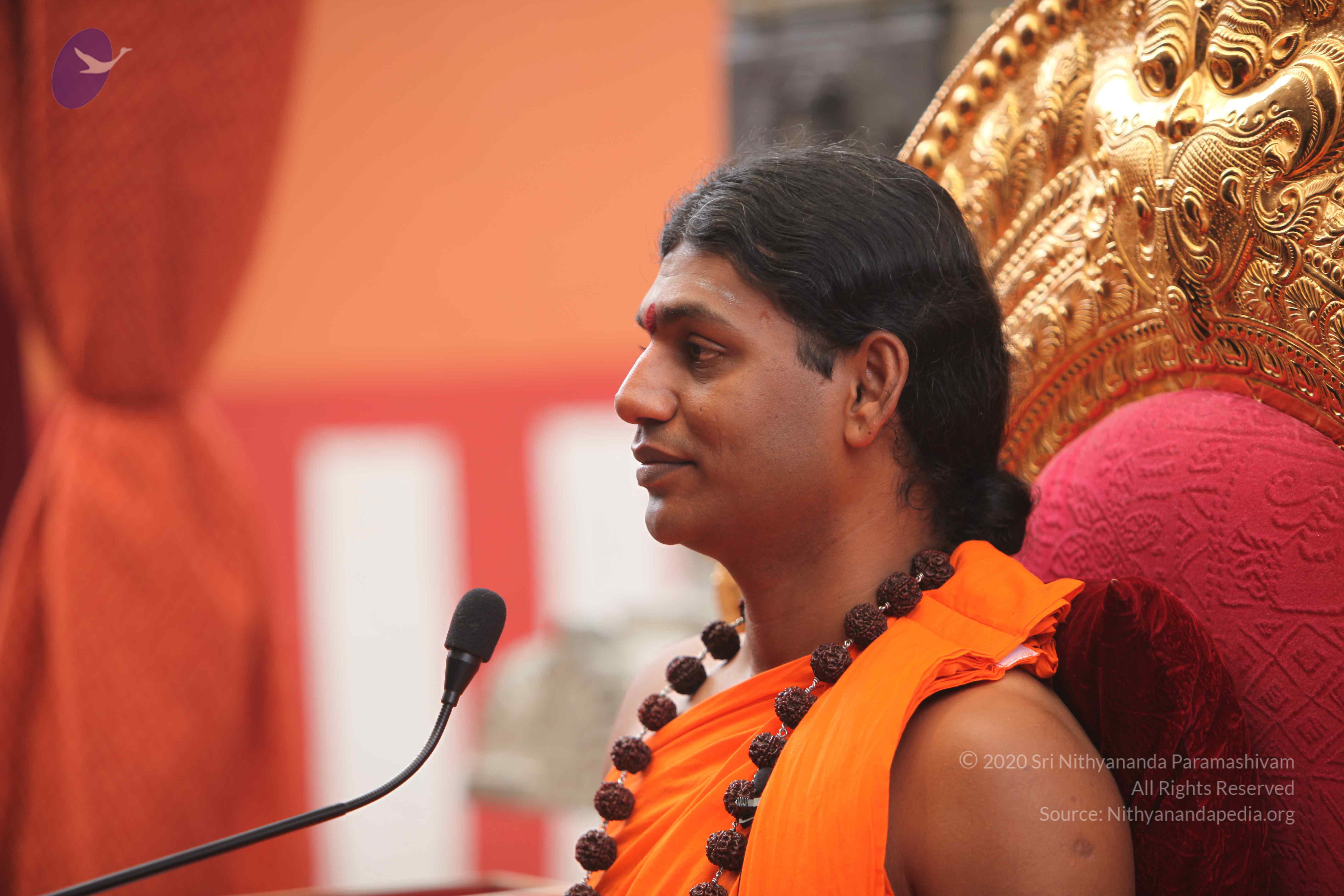 20101030_Photo_1210_IMG_7851_CMP_WM