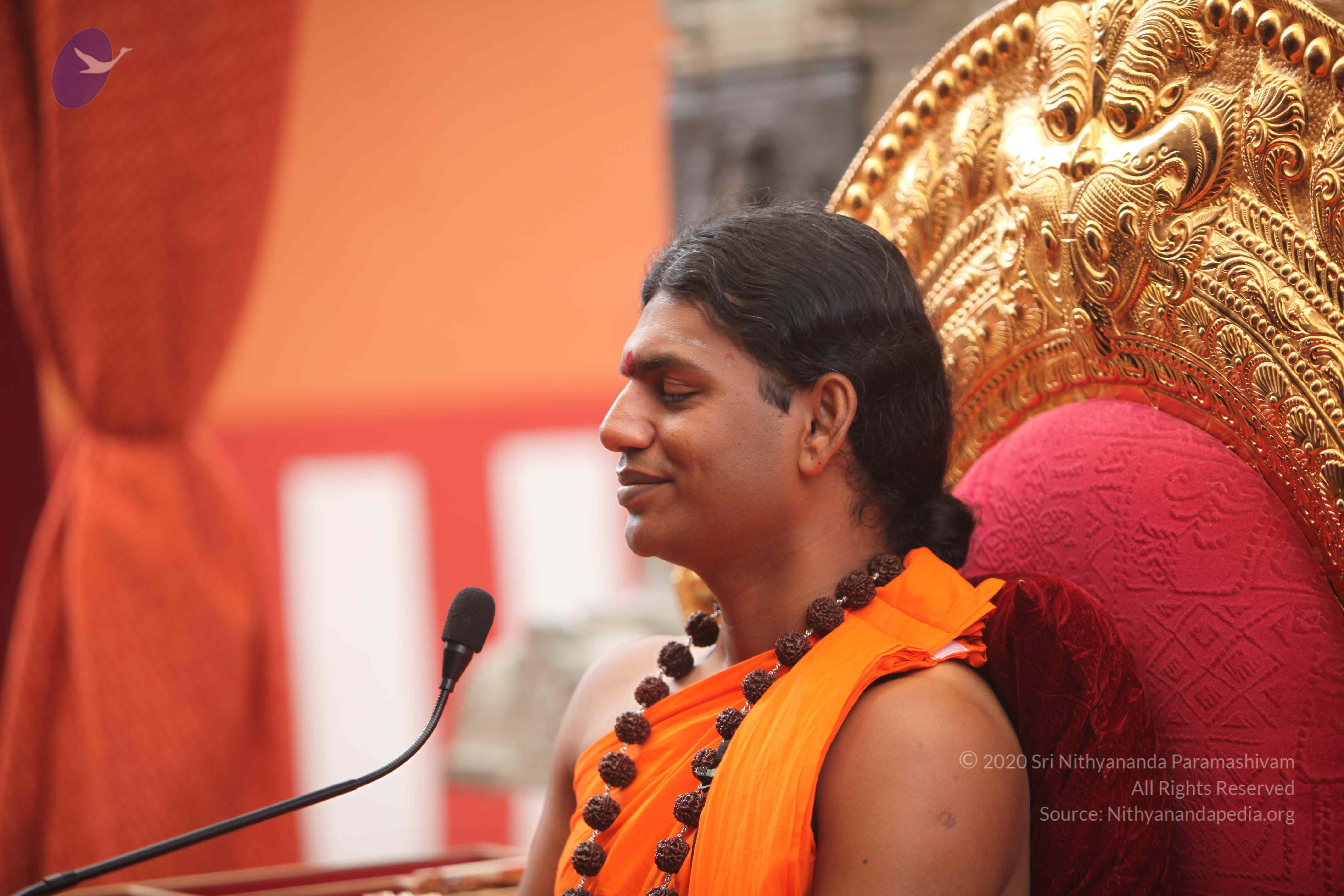 20101030_Photo_1211_IMG_7866_CMP_WM