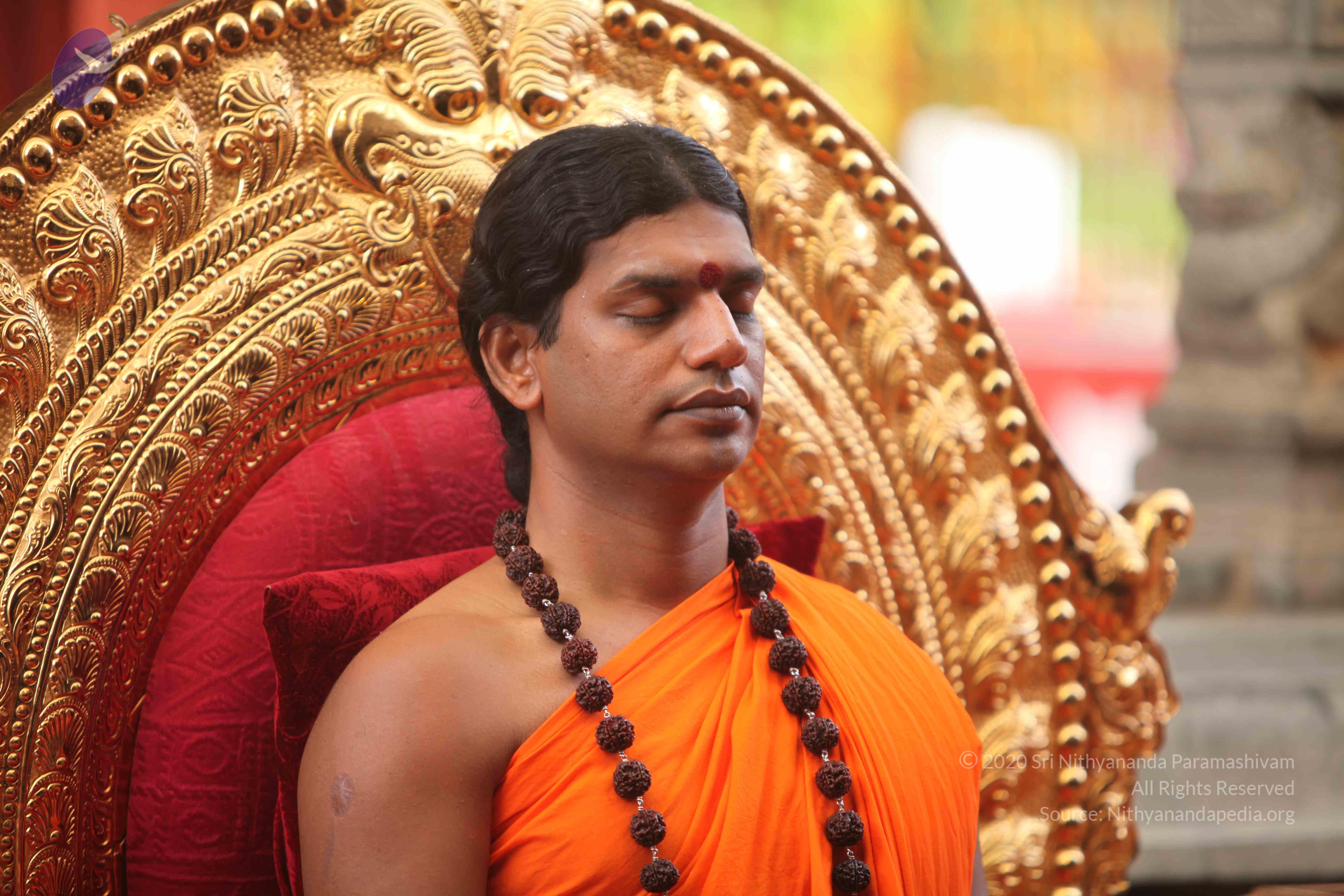 20101030_Photo_1214_IMG_7762_CMP_WM