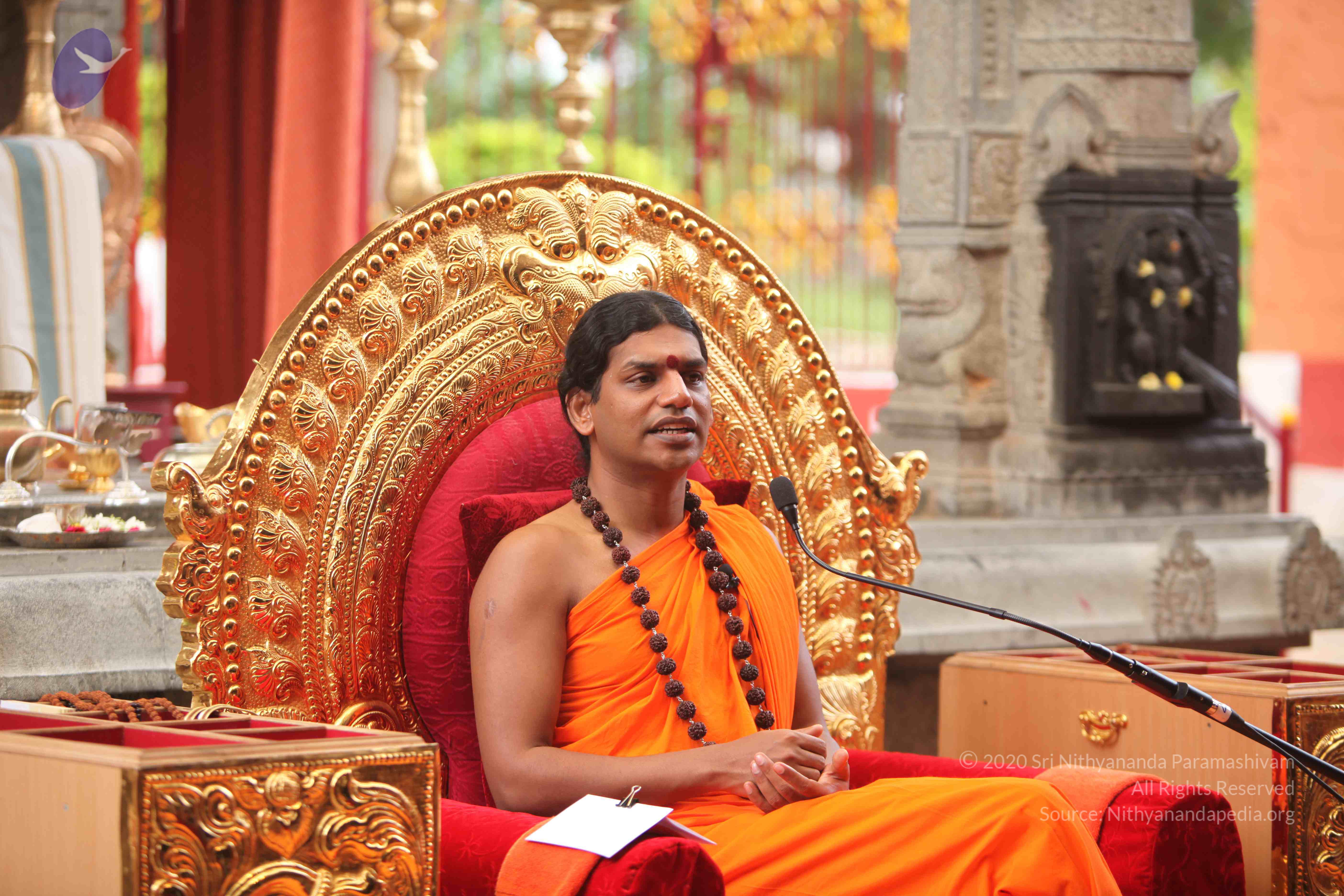 20101030_Photo_1215_IMG_7885_CMP_WM