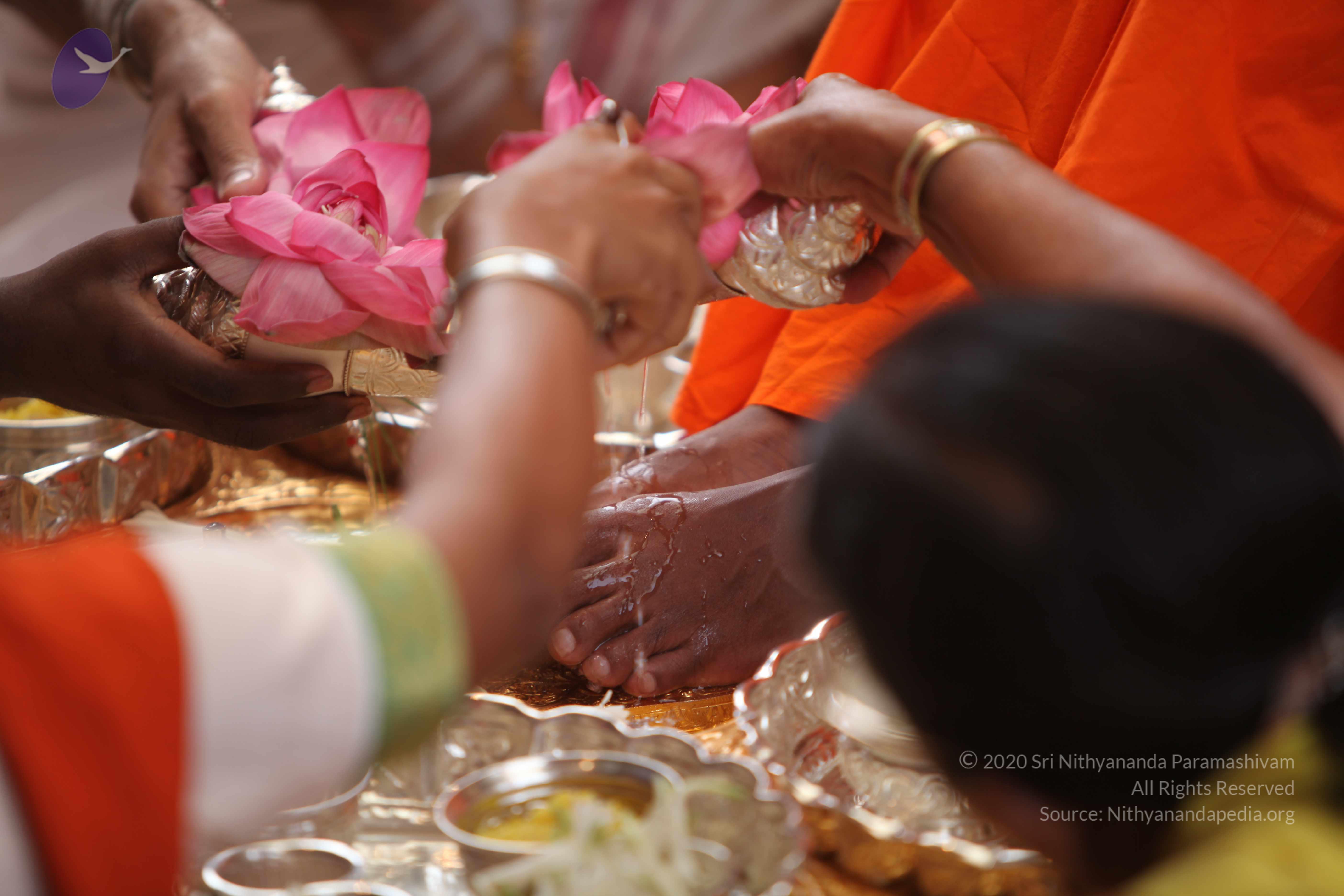 20101030_Photo_1216_IMG_7737_CMP_WM