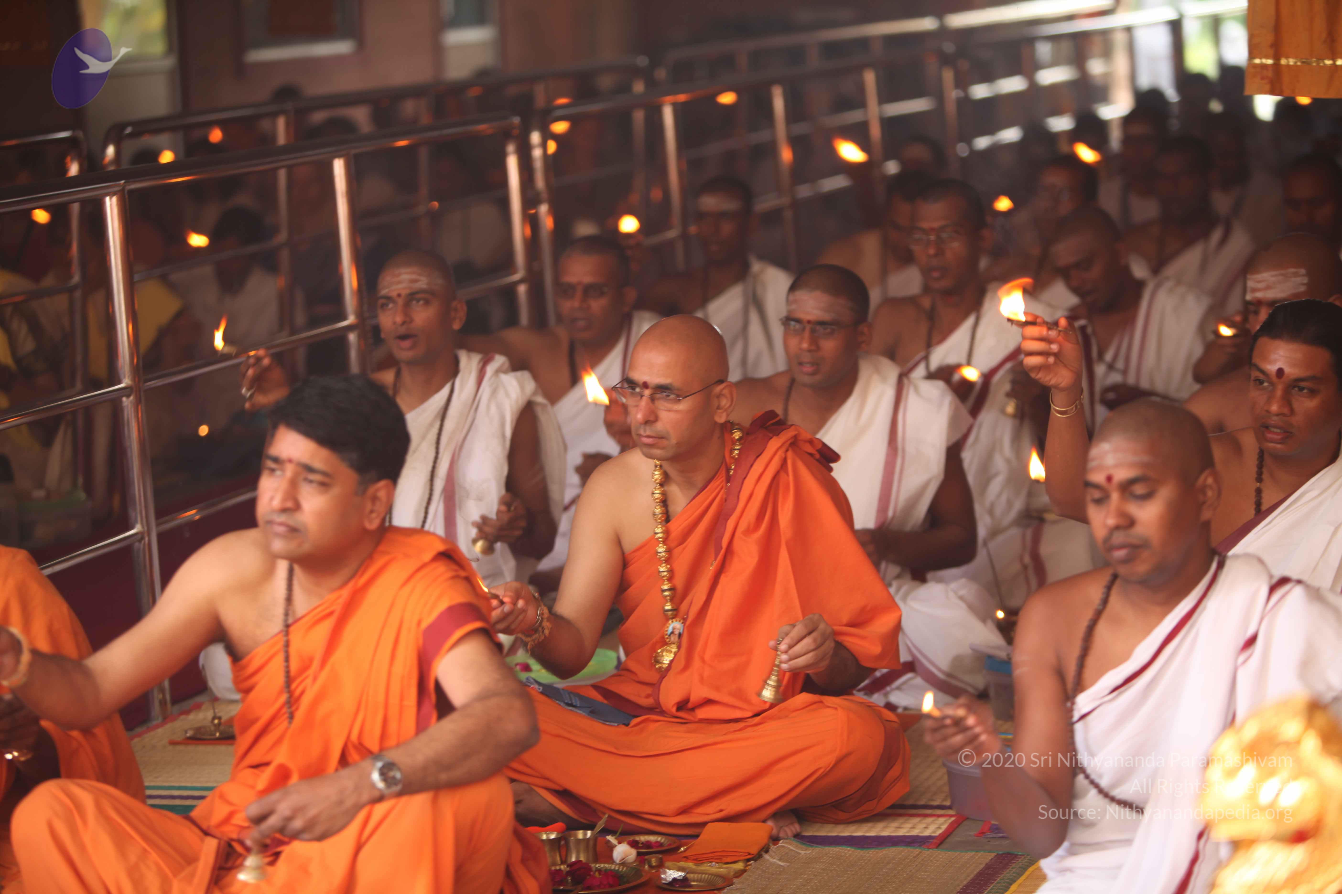 20101030_Photo_1218_IMG_7818_CMP_WM