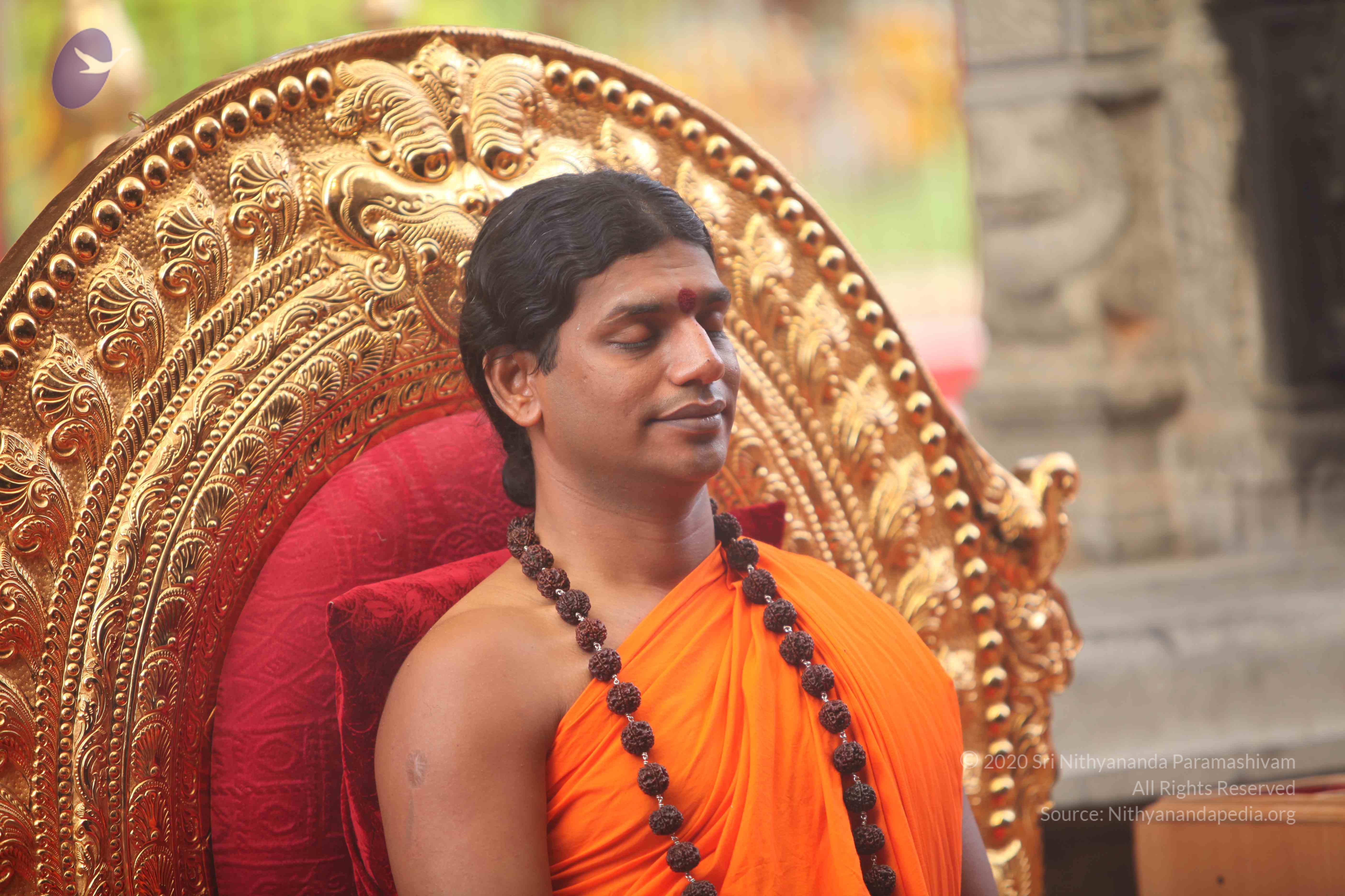 20101030_Photo_1221_IMG_7828_CMP_WM