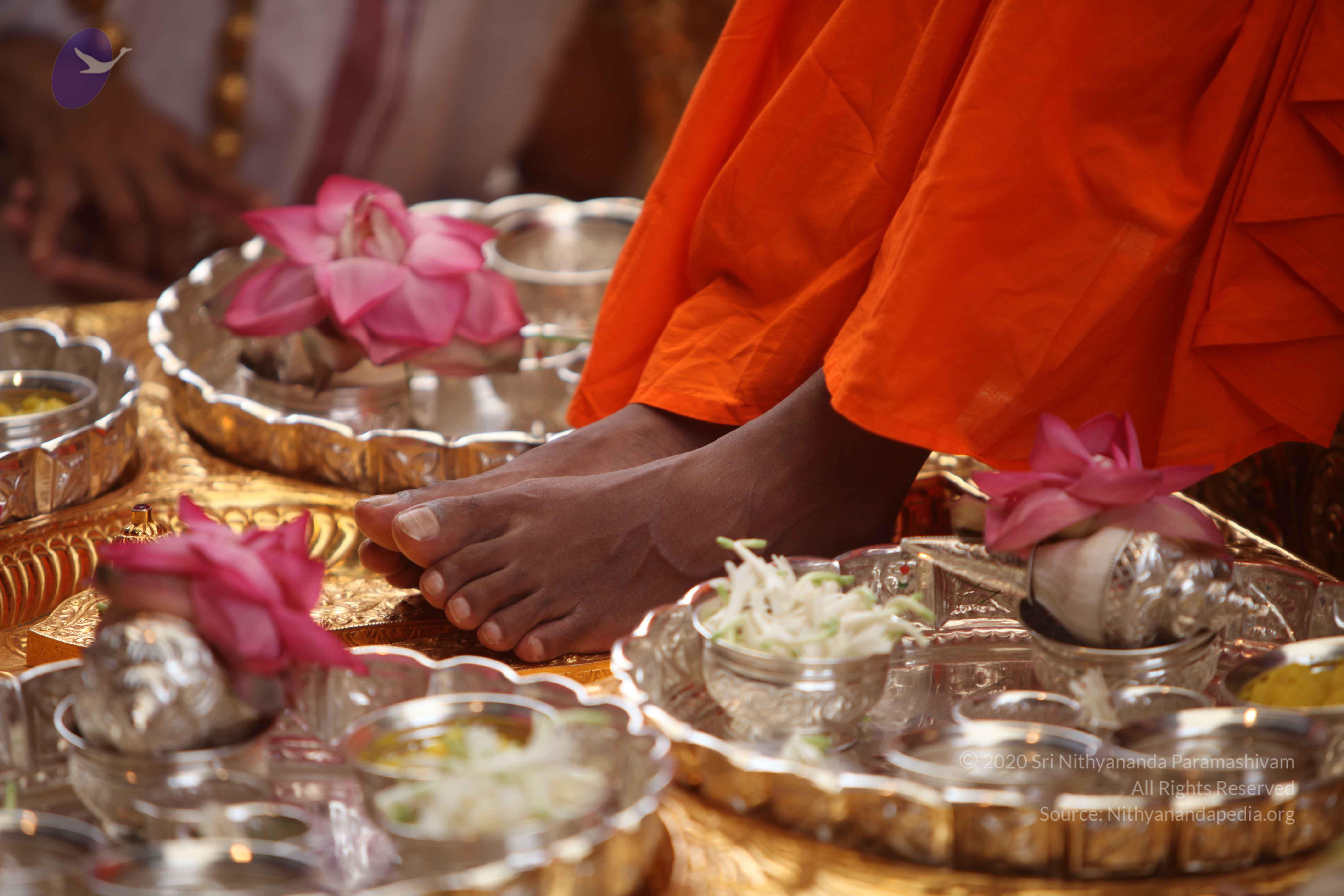 20101030_Photo_1224_IMG_7707_CMP_WM