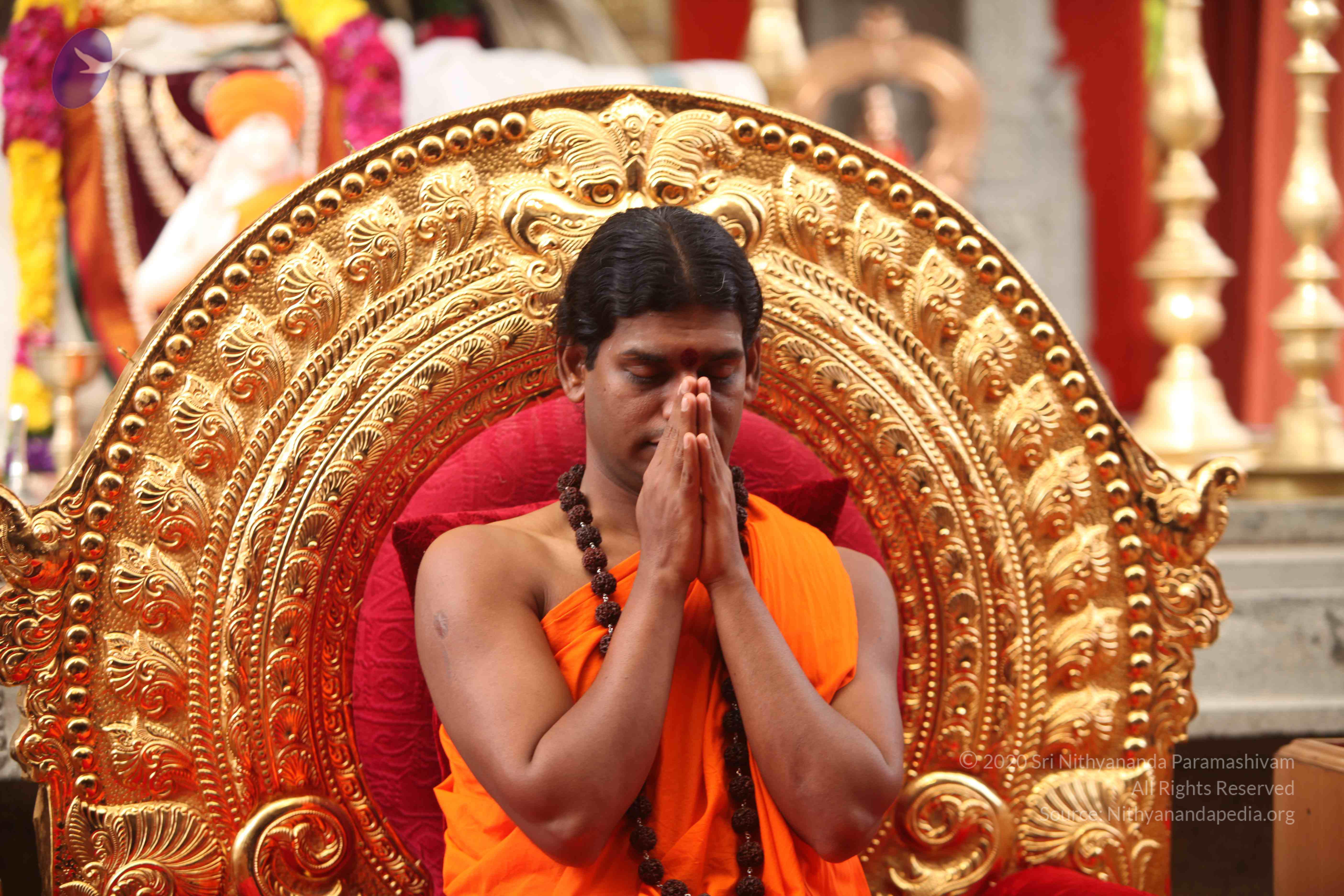 20101030_Photo_1225_IMG_7834_CMP_WM