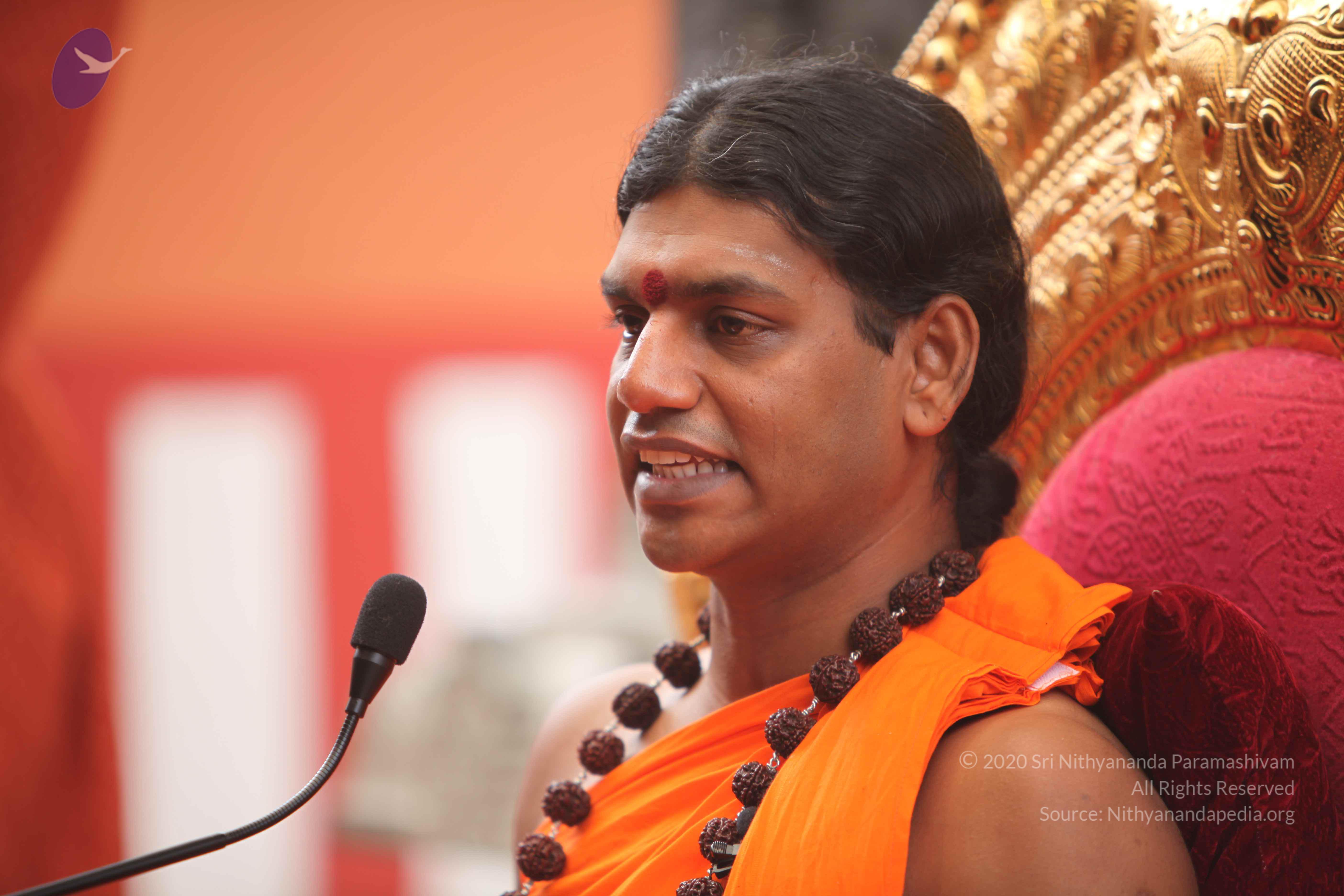 20101030_Photo_1228_IMG_7856_CMP_WM