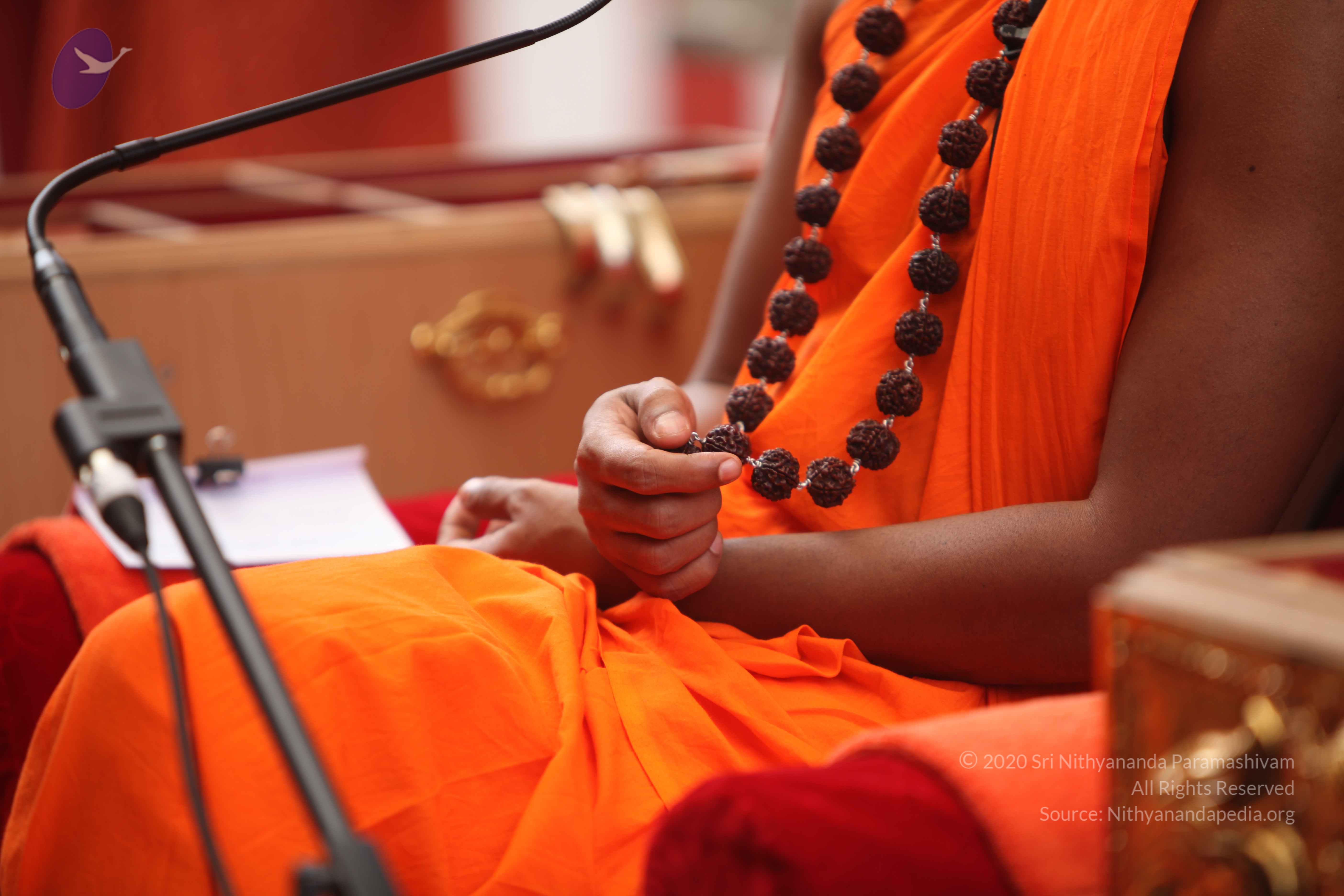 20101030_Photo_1230_IMG_7861_CMP_WM