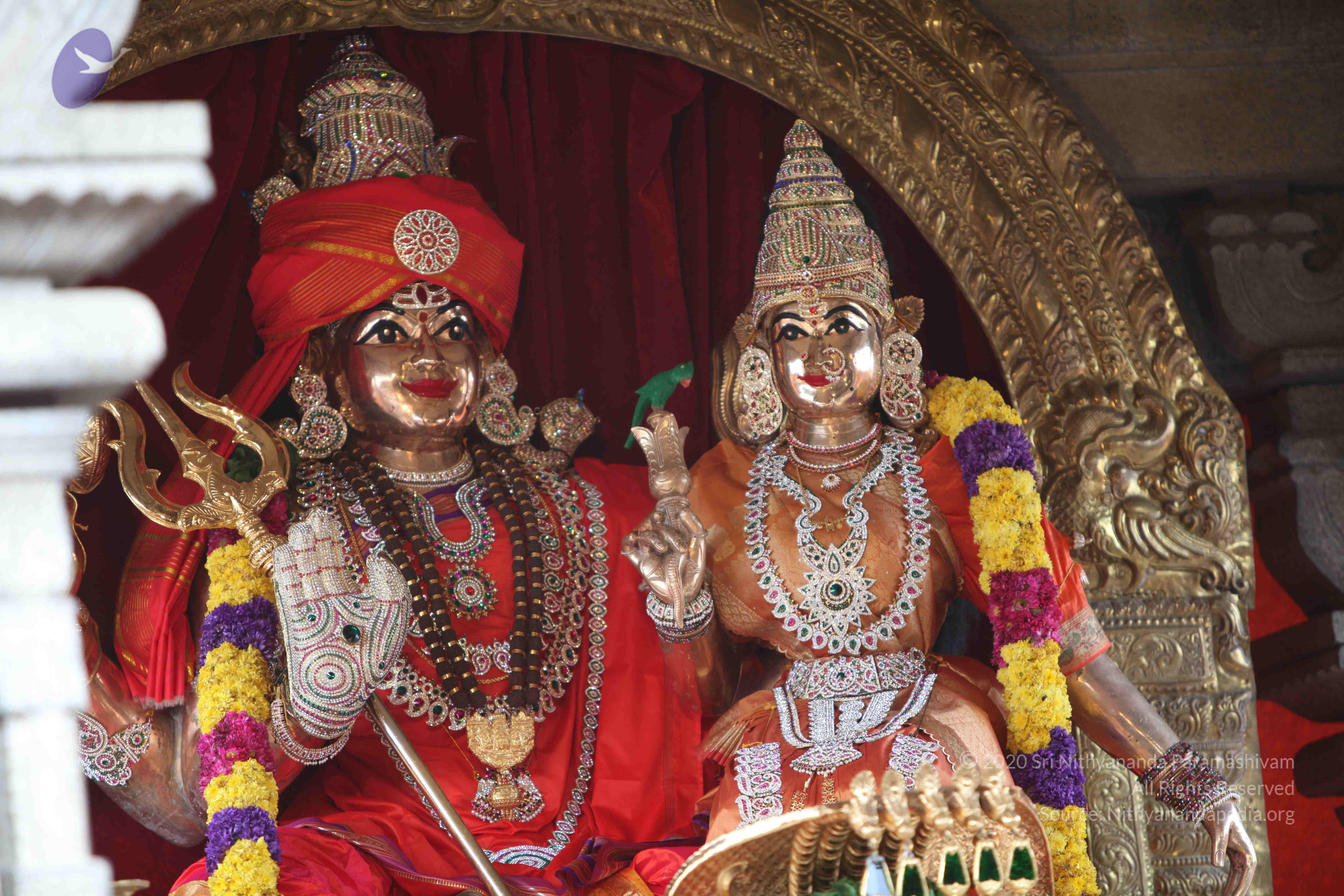 20101030_Photo_1234_IMG_7779_CMP_WM