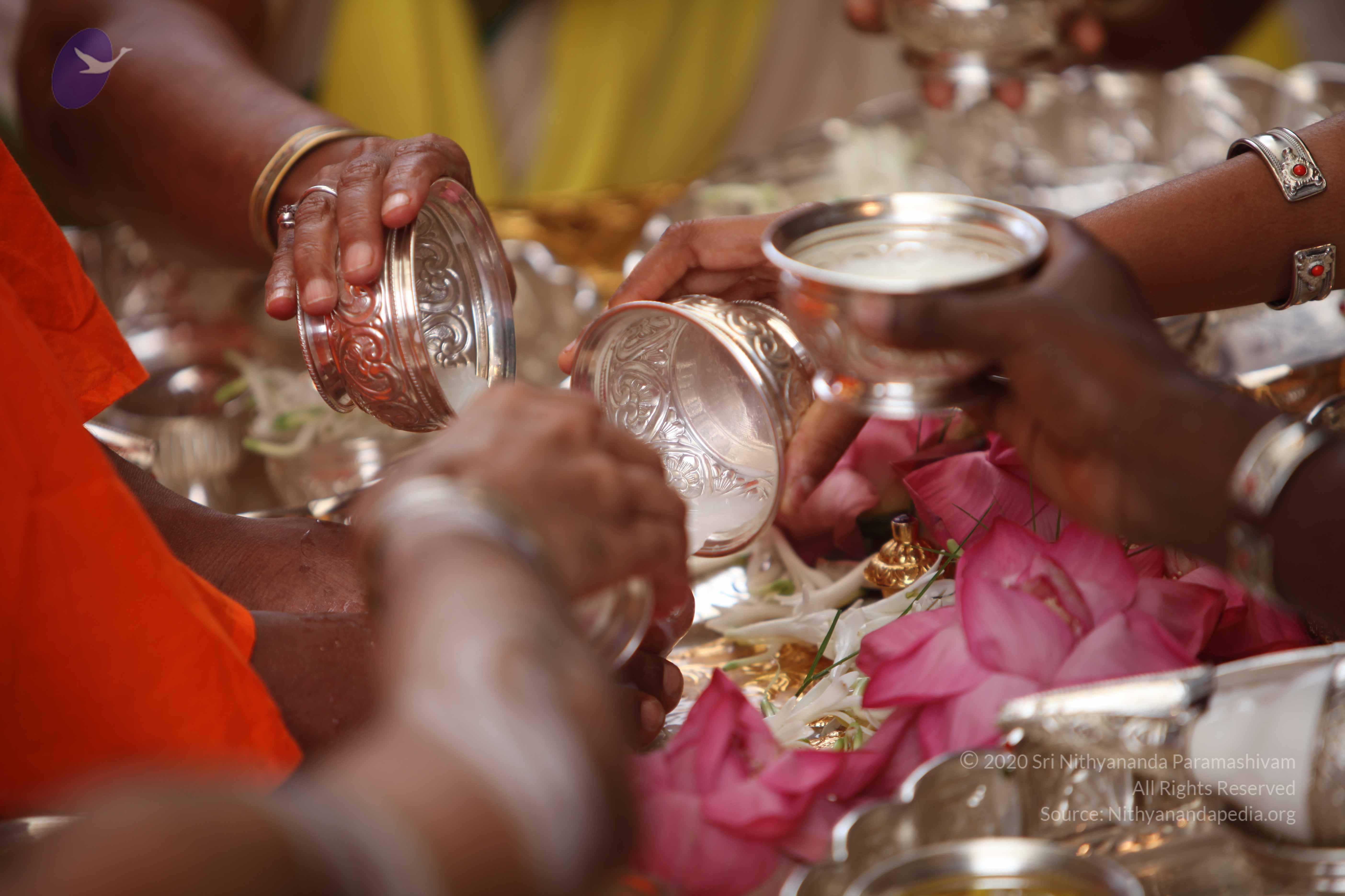 20101030_Photo_1235_IMG_7768_CMP_WM