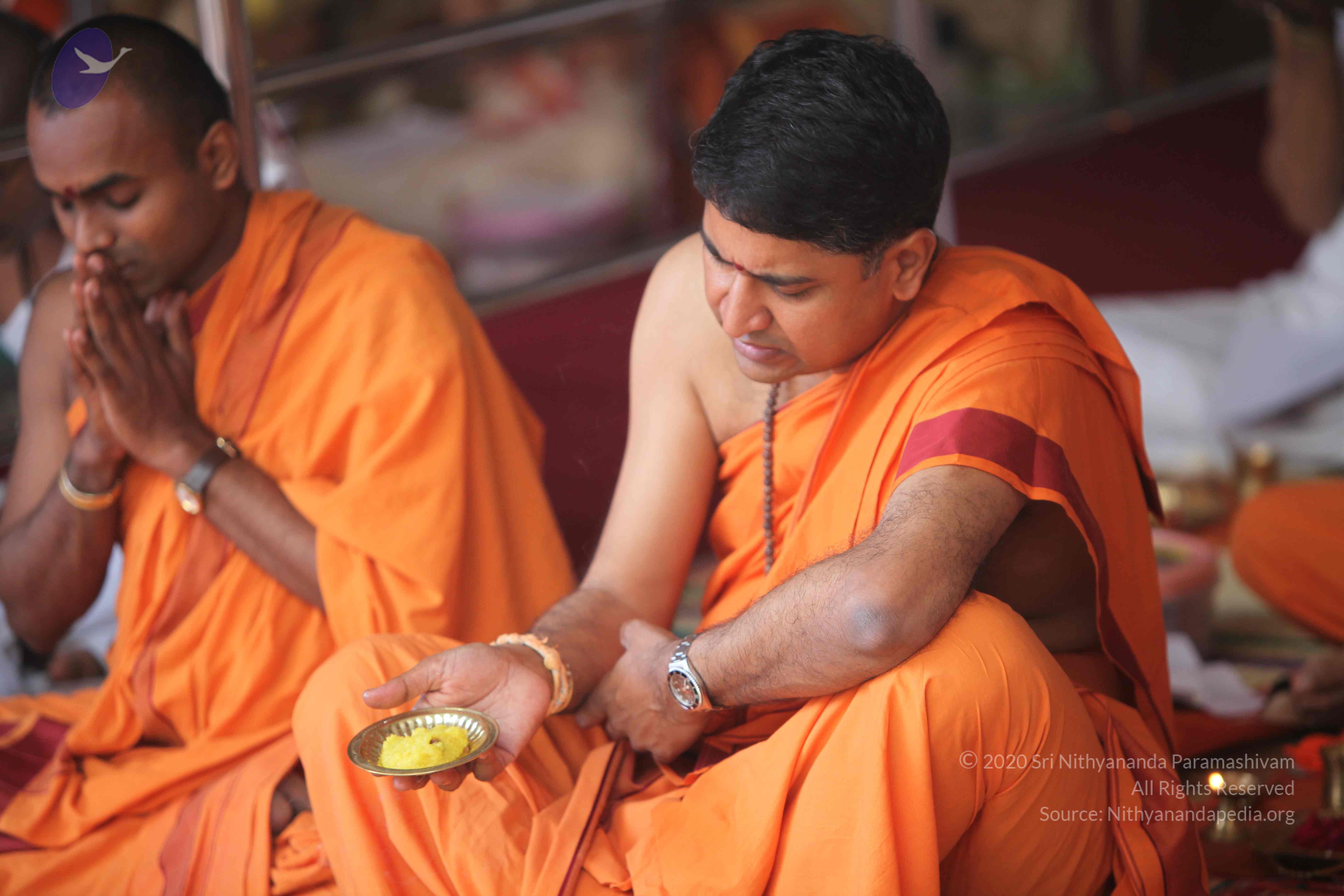 20101030_Photo_1237_IMG_7797_CMP_WM