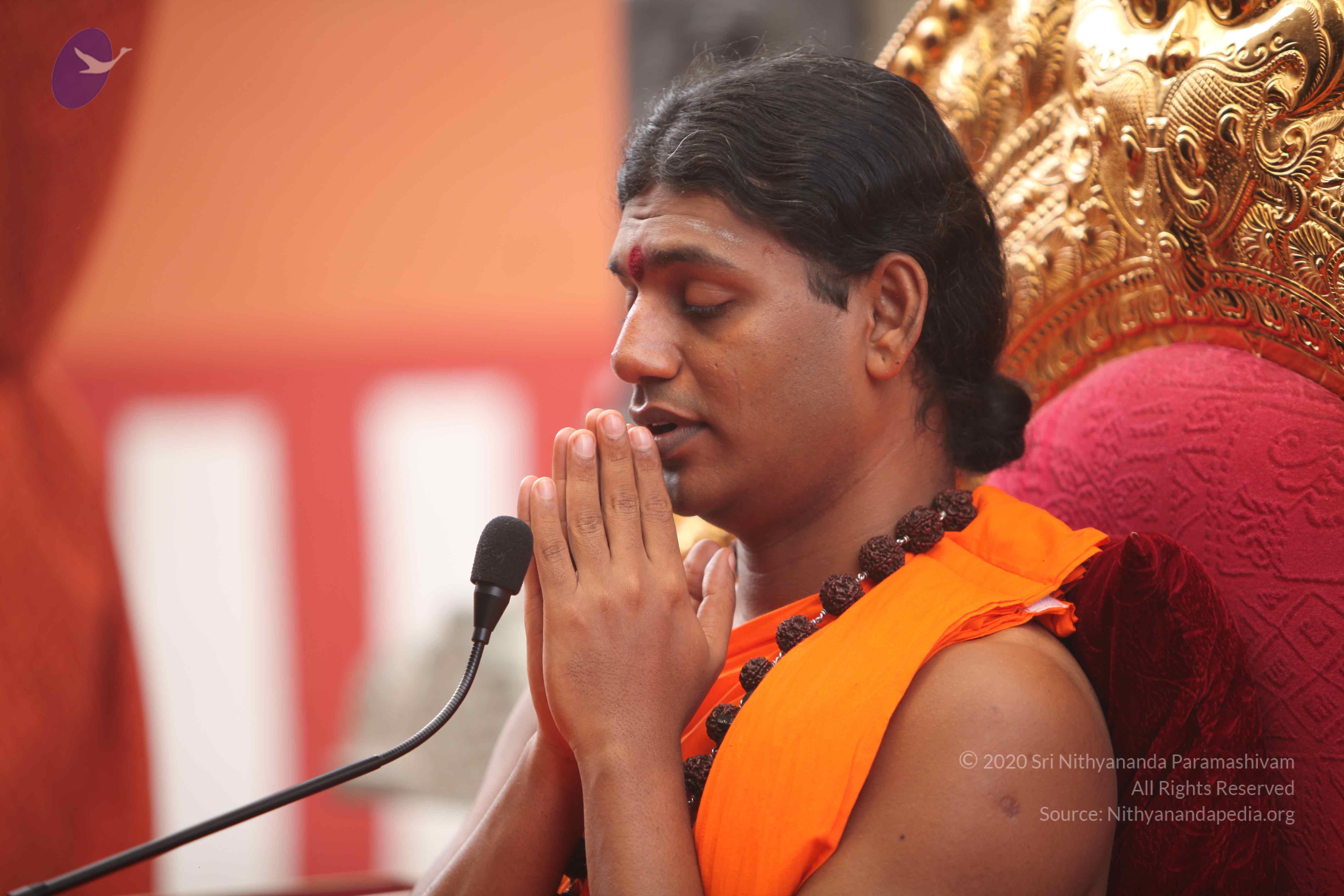 20101030_Photo_1241_IMG_7847_CMP_WM